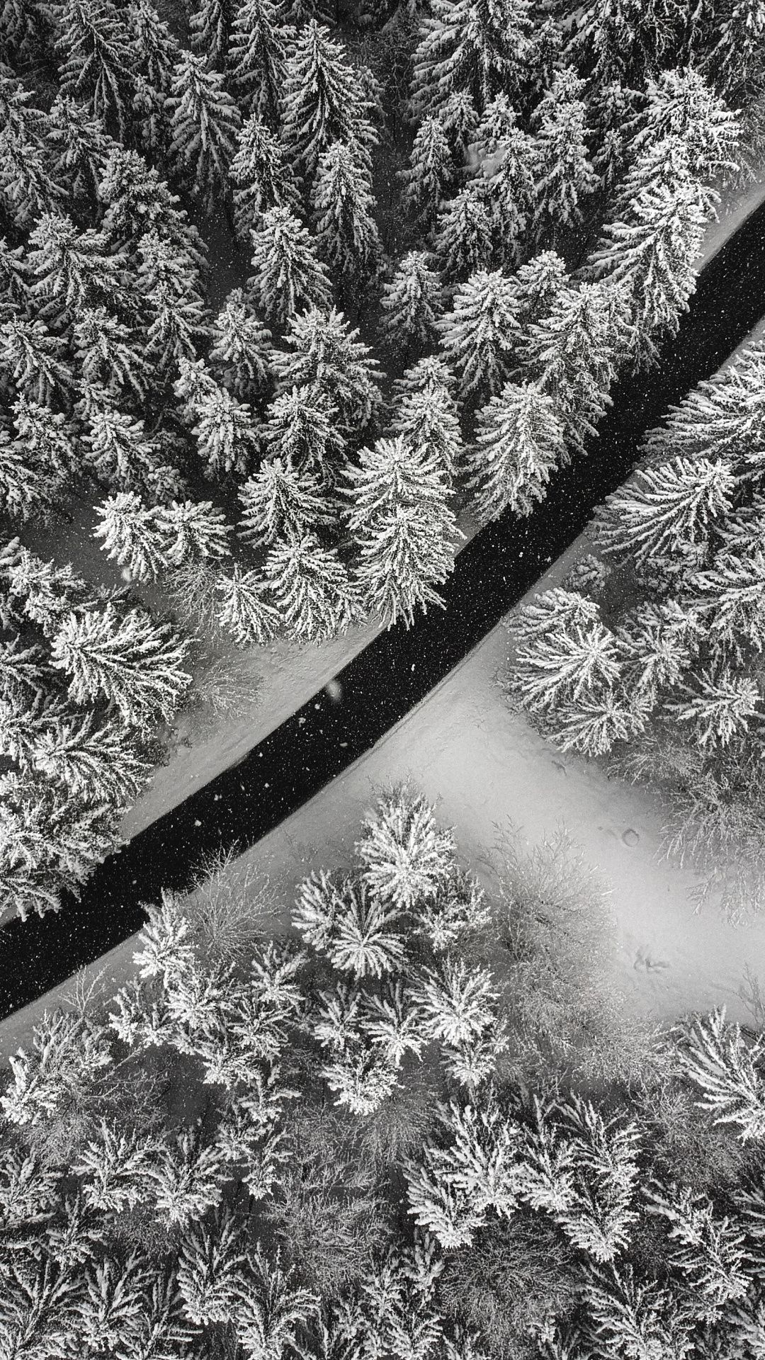 Winter pine trees, Snowy wonderland, Aerial view, Winter wallpaper, 1080x1920 Full HD Handy