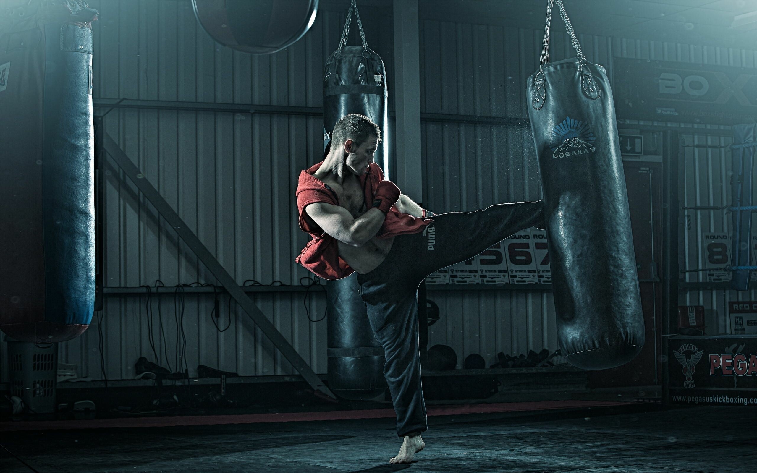 Martial Art: Kickboxing, Good for general health and fighting, Use the feet to hit and kick. 2560x1600 HD Background.