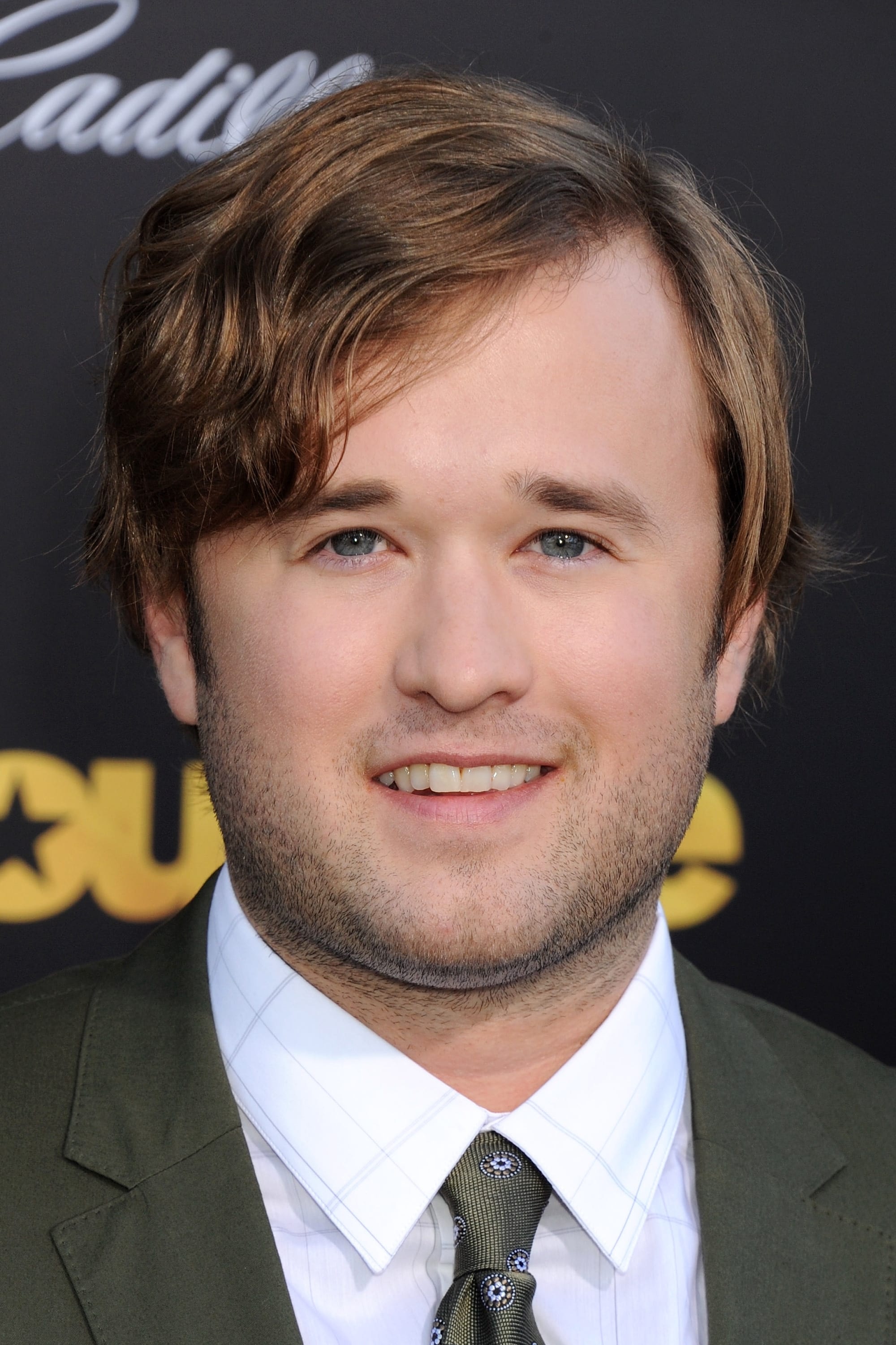 Haley Joel Osment, Profile images, The Movie Database, Actor, 2000x3000 HD Handy