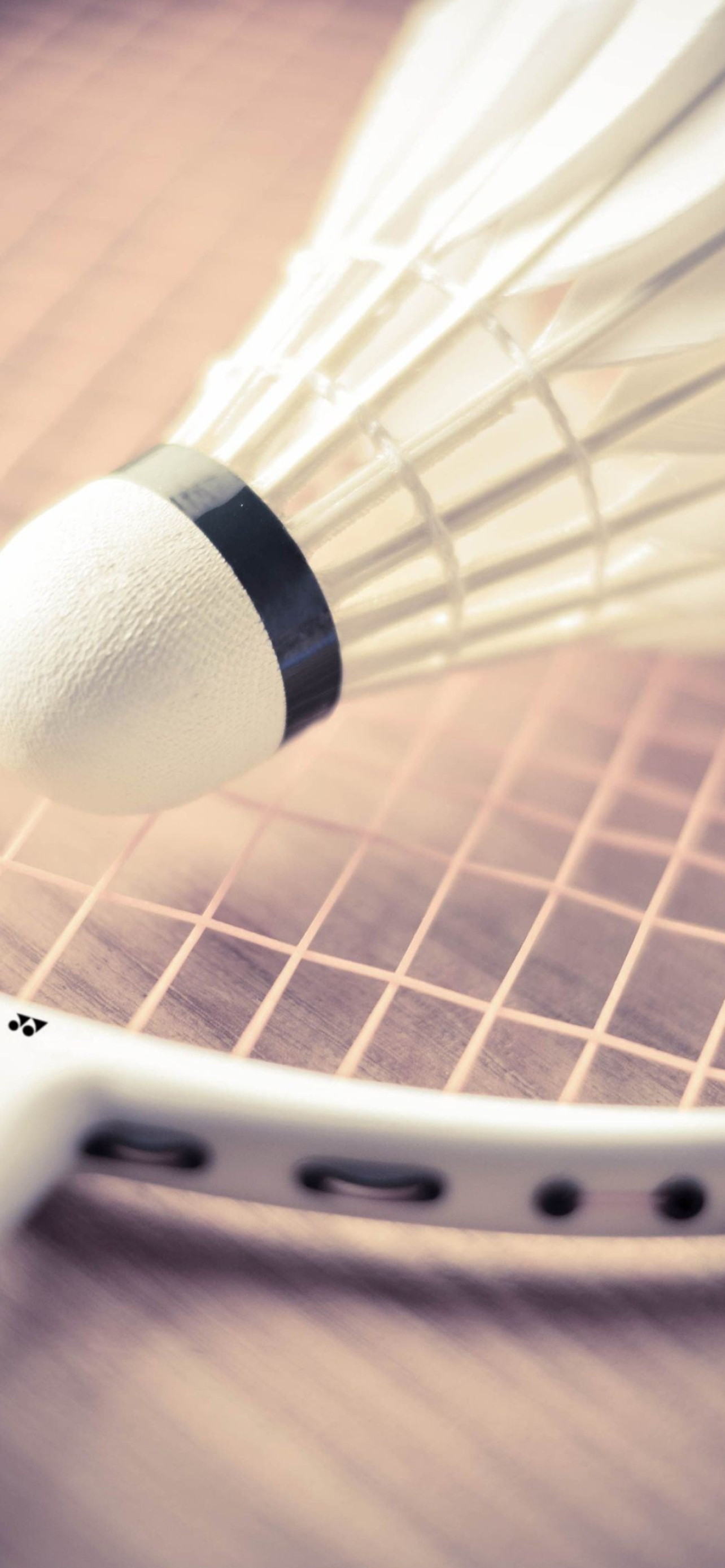 Best badminton wallpapers, Exciting matches, Skill and technique, Sporting excellence, 1290x2780 HD Phone
