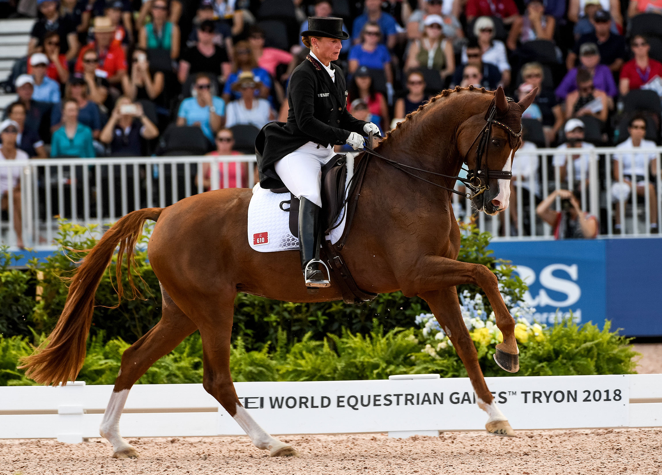 Dressage: Isabell Werth and Bella Rose competing in 2018 FEI World Equestrian Games at the Tryon, The USA. 2300x1660 HD Wallpaper.