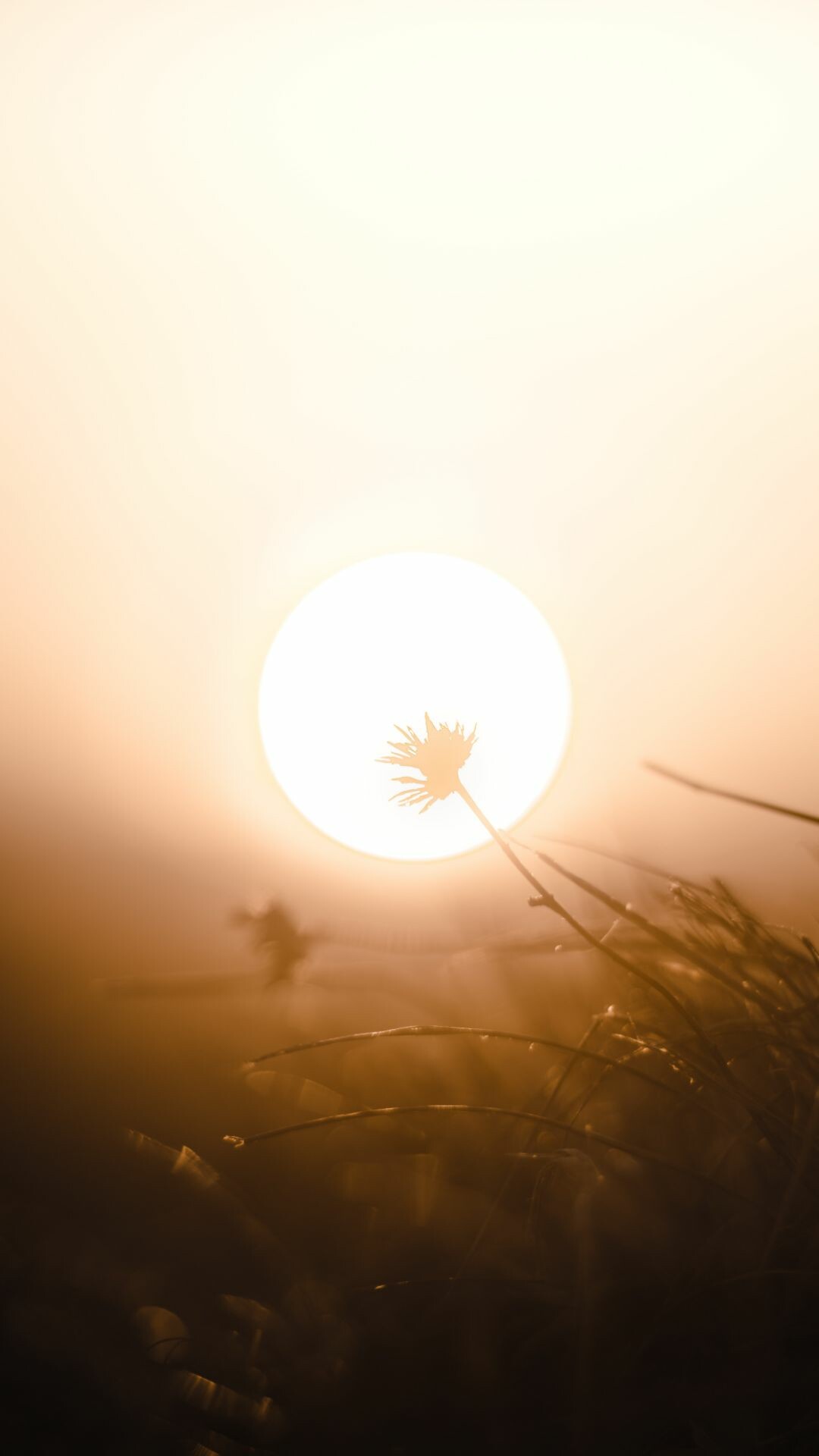Sun's radiance, Breathtaking landscapes, Majestic beauty, Nature's masterpiece, 1080x1920 Full HD Phone