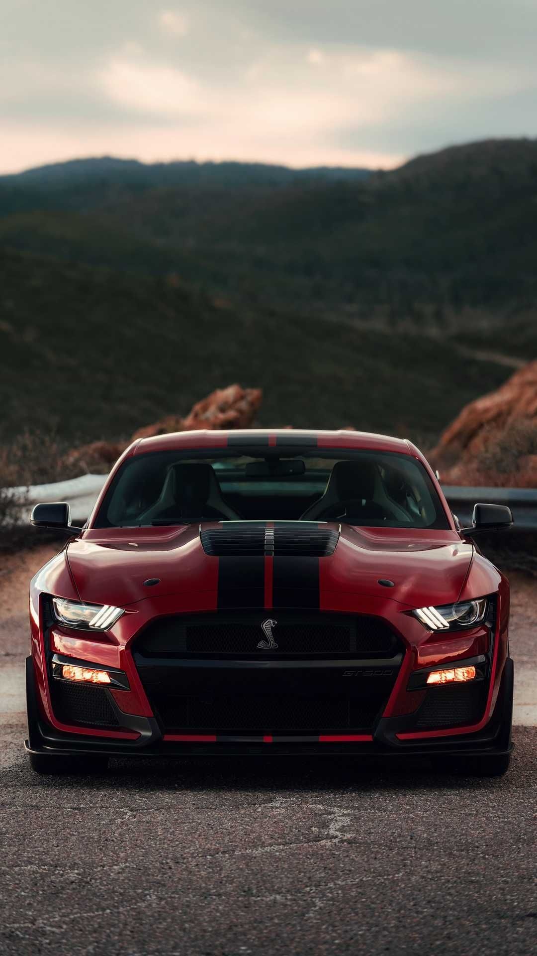 GT500 power, Ford Mustang Shelby GT500, Ford Mustang wallpaper, Ford Mustang GT500 beauty, 1080x1920 Full HD Handy