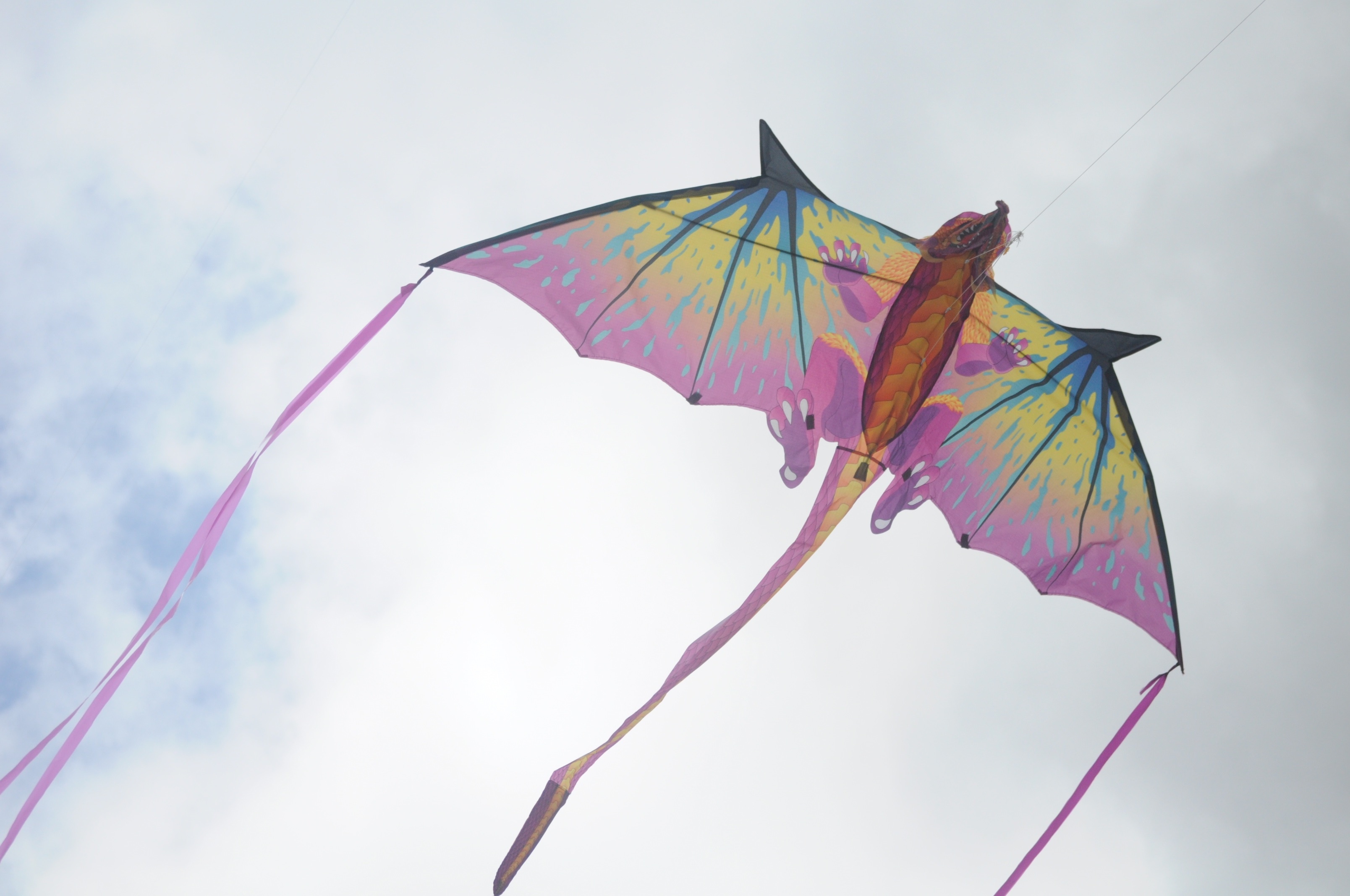 Kite Sports: Dragon kite with a tail, Single line, Windsports, Perfect for kids. 3220x2140 HD Wallpaper.