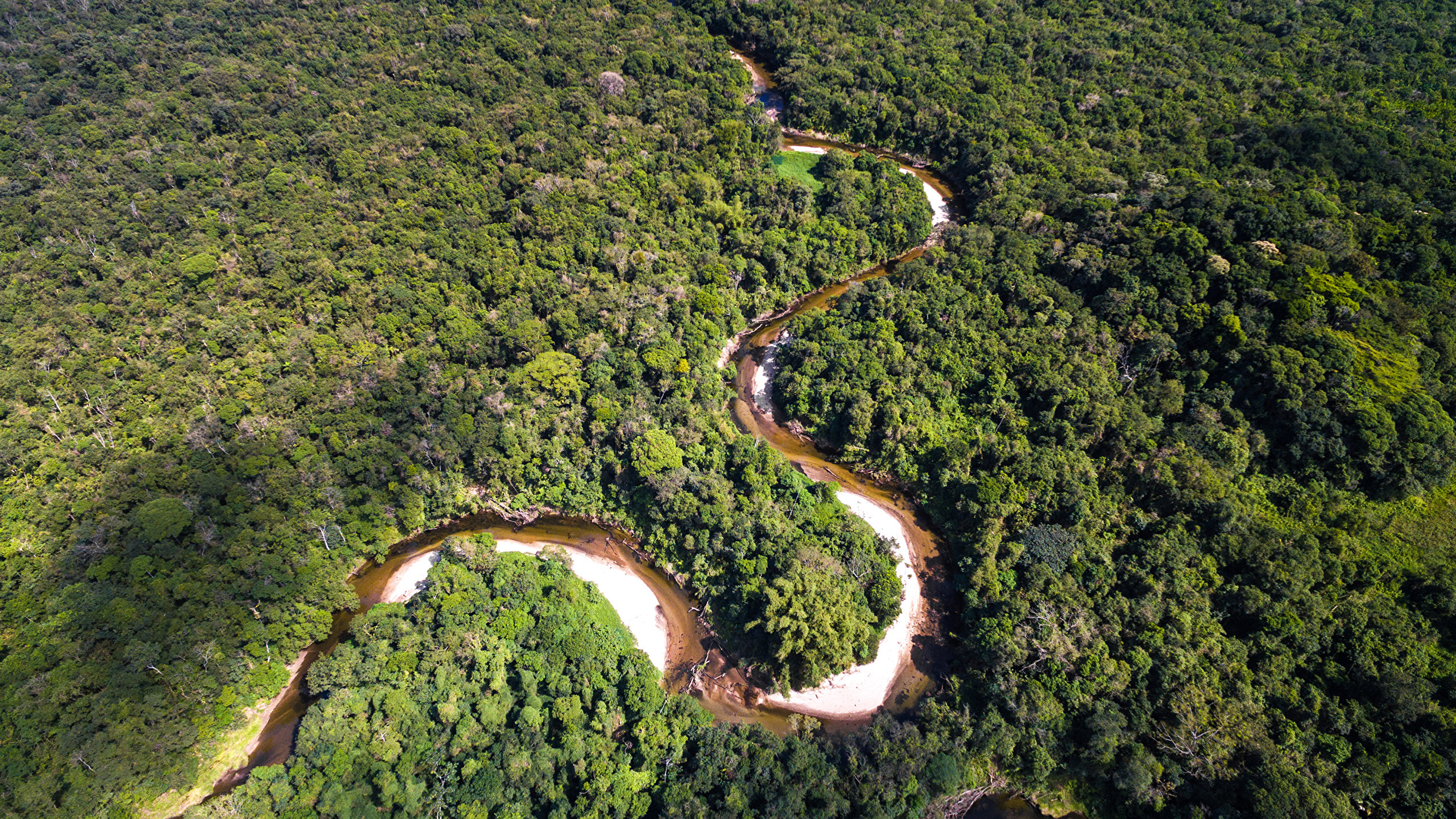 Amazon River, Travels, Amazon Forest, Natural Beauty, 2560x1440 HD Desktop