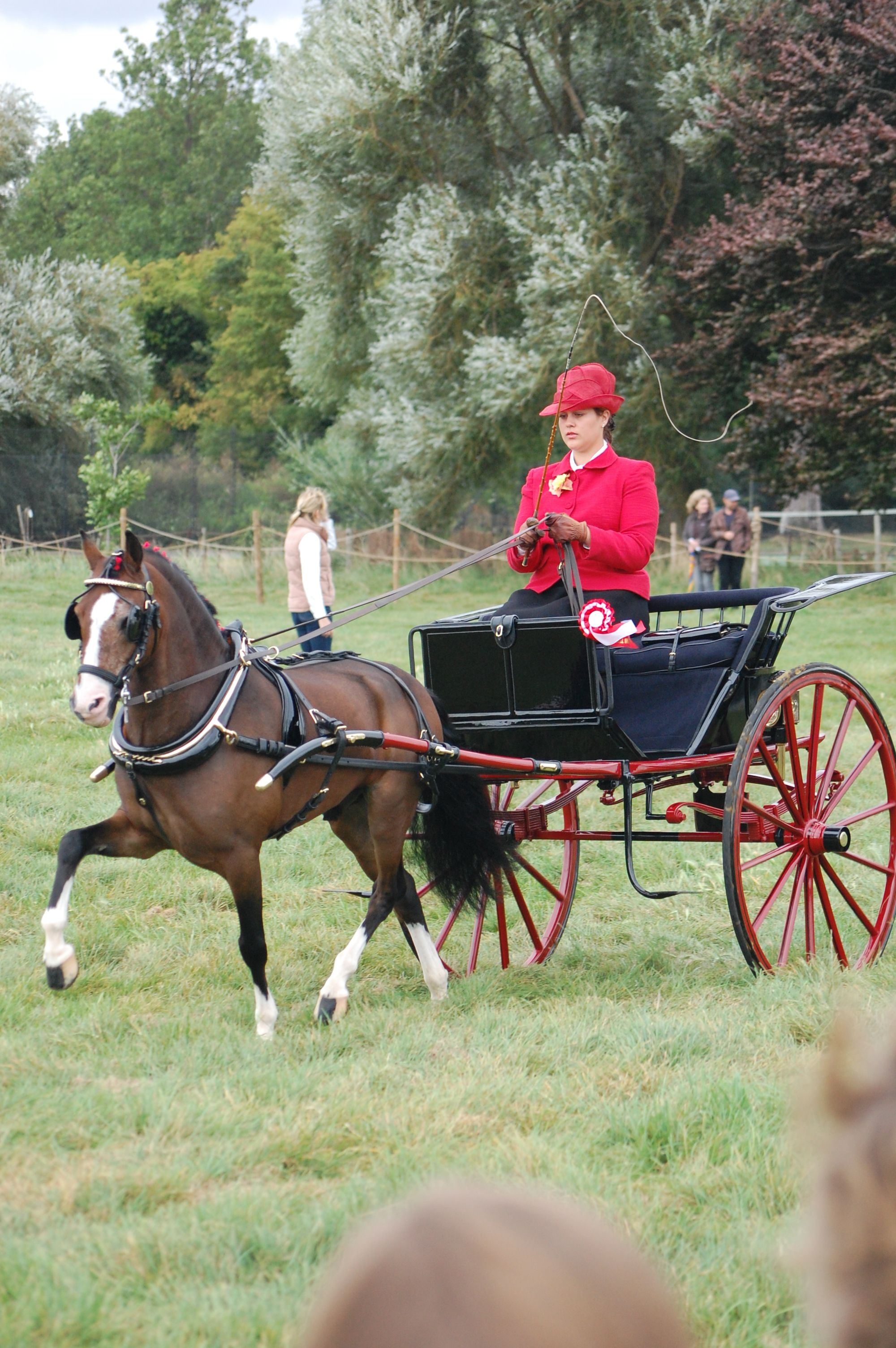 Carriage driving sports, Horse and carriage, Carriage driving attire, 2000x3010 HD Phone