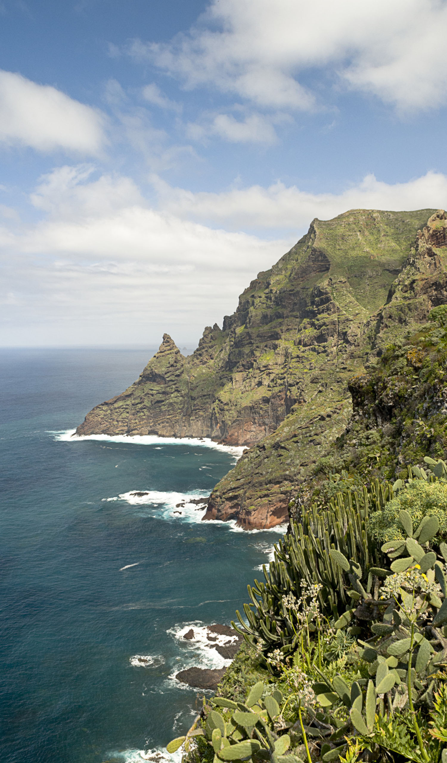 Tenerife charters7islands, Boat tours, Sailing adventures, Ocean exploration, 1500x2560 HD Phone