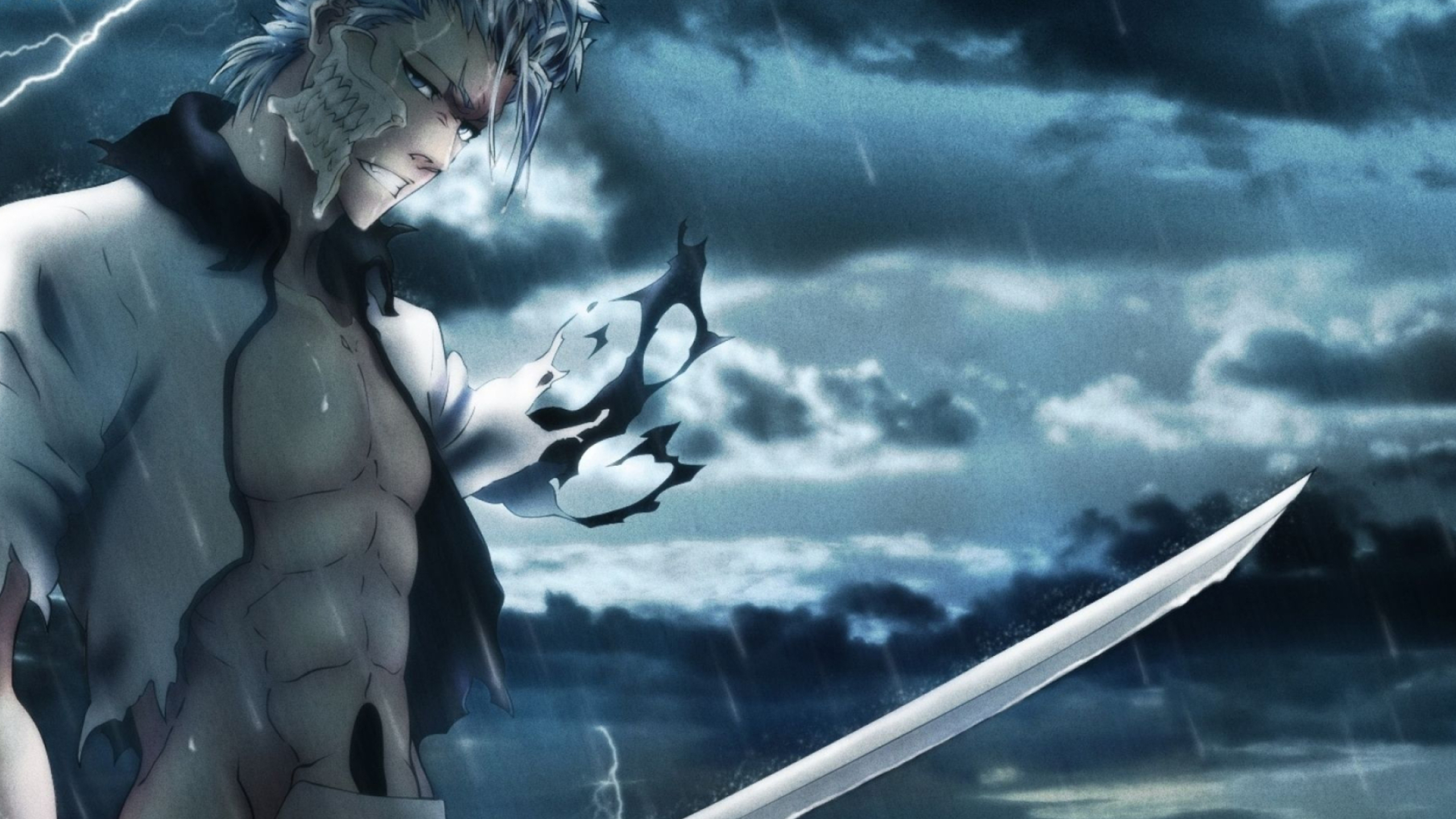 Grimmjow Jaggerjack: An antagonist with a very brutal, merciless, temperamental, and bloodthirsty personality. 2560x1440 HD Wallpaper.
