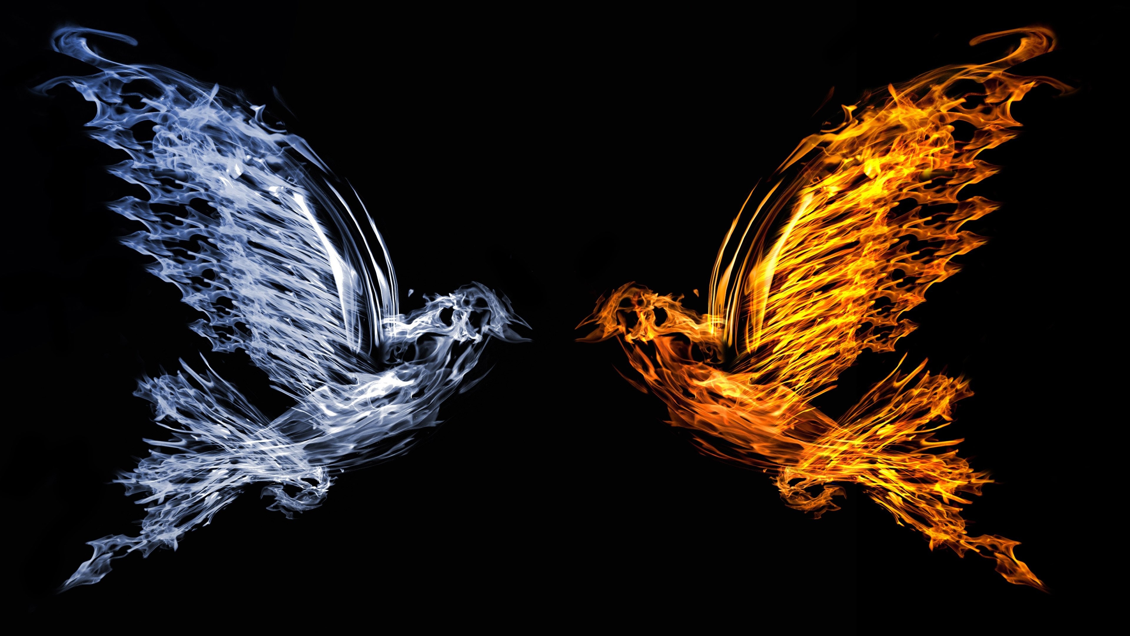 Artistic interpretation, Fire and water fusion, Abstract bird silhouette, Dynamic energy, Captivating colors, 3840x2160 4K Desktop