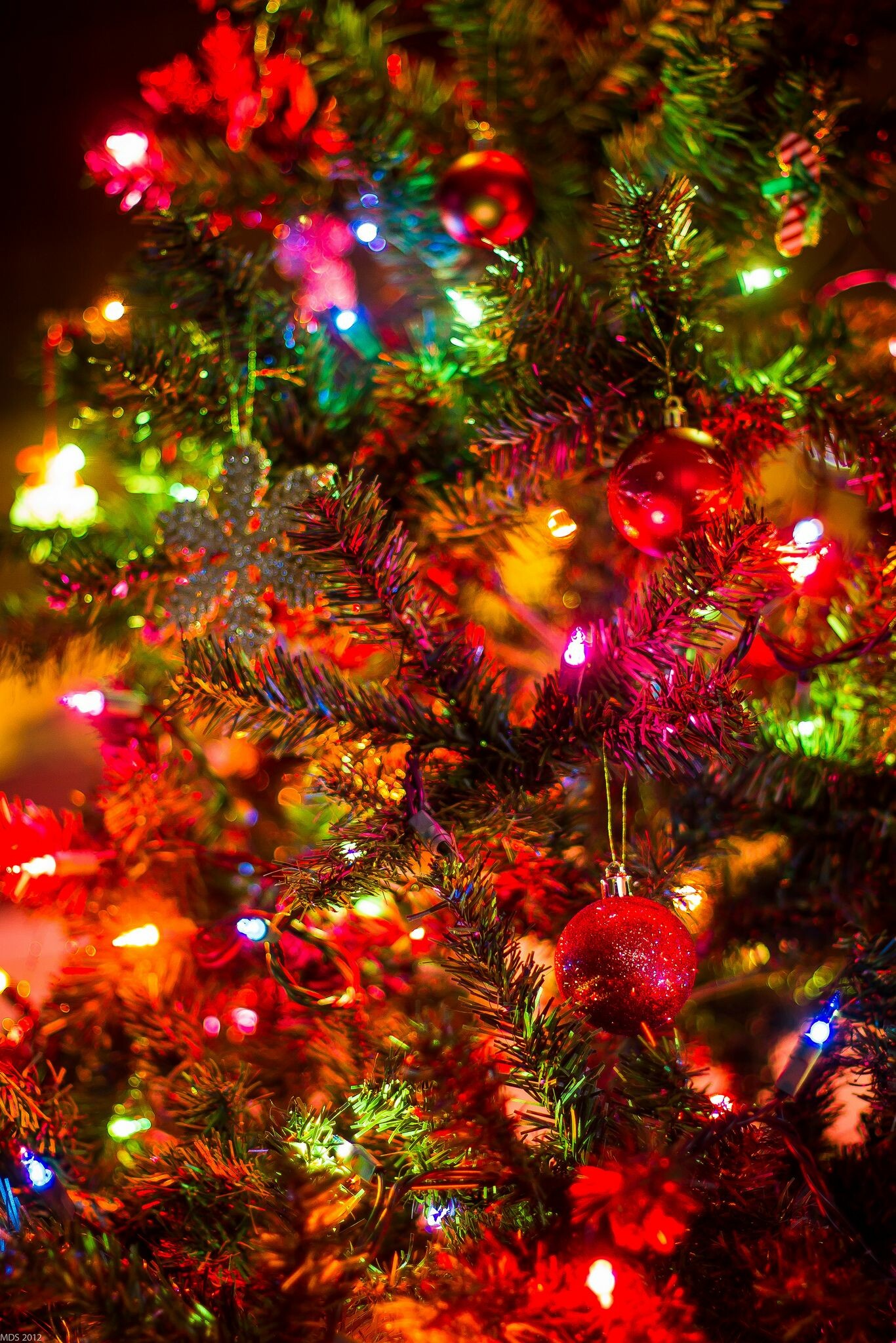 Christmas Lights: Neon lamp sets are less common during the holidays. 1370x2050 HD Background.