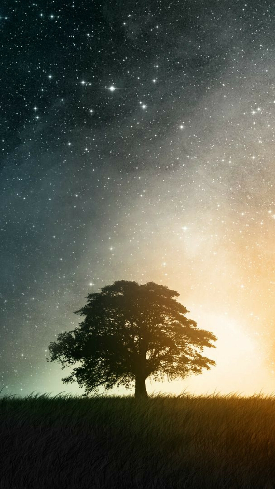 Sterne und Baum, 4K-Spektakel, Himmlisches Wunder, Tapetengenuss, 1080x1920 Full HD Handy