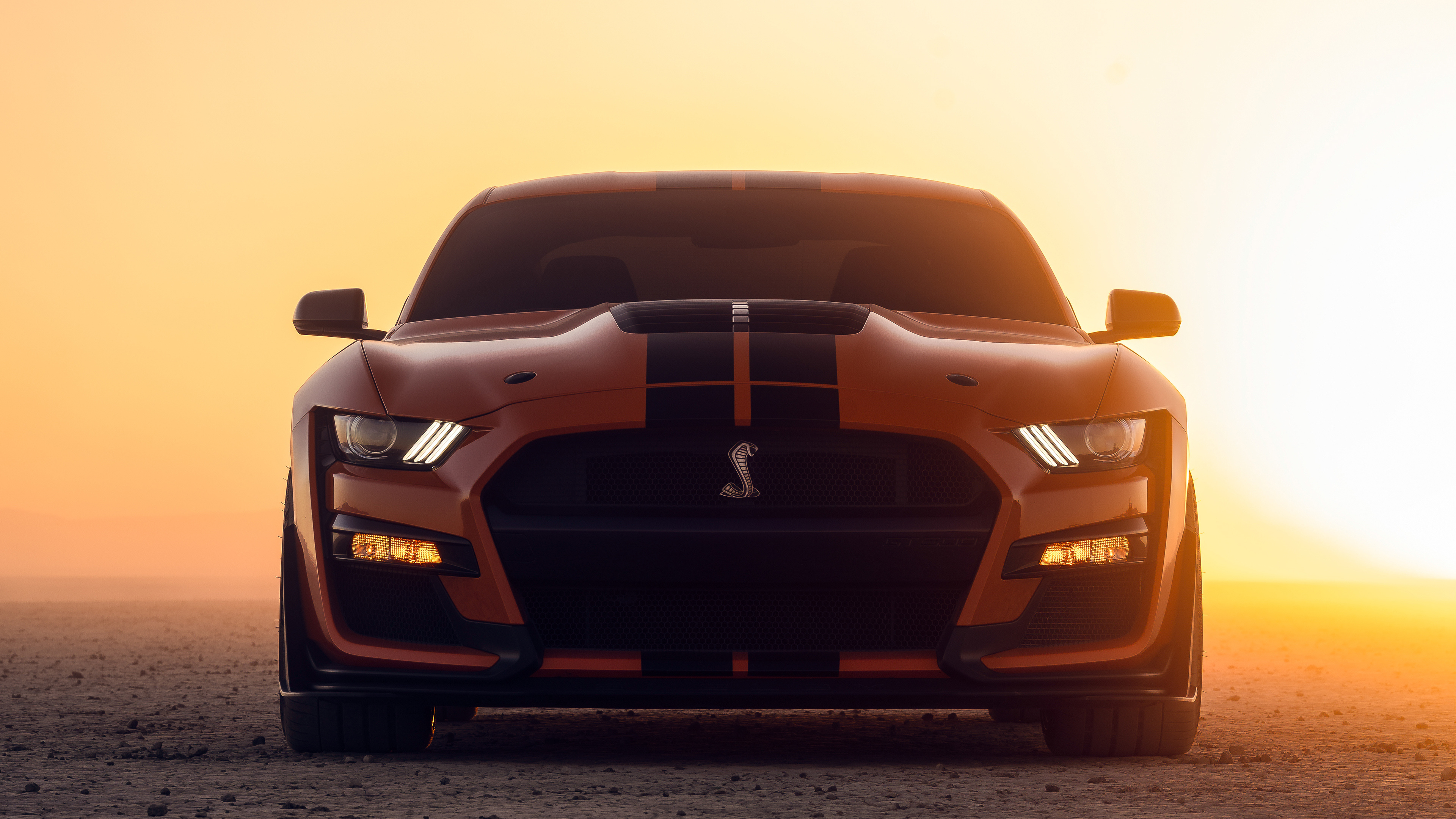 GT500, Yellow Ford Mustang, HD cars, Stunning images, 3840x2160 4K Desktop