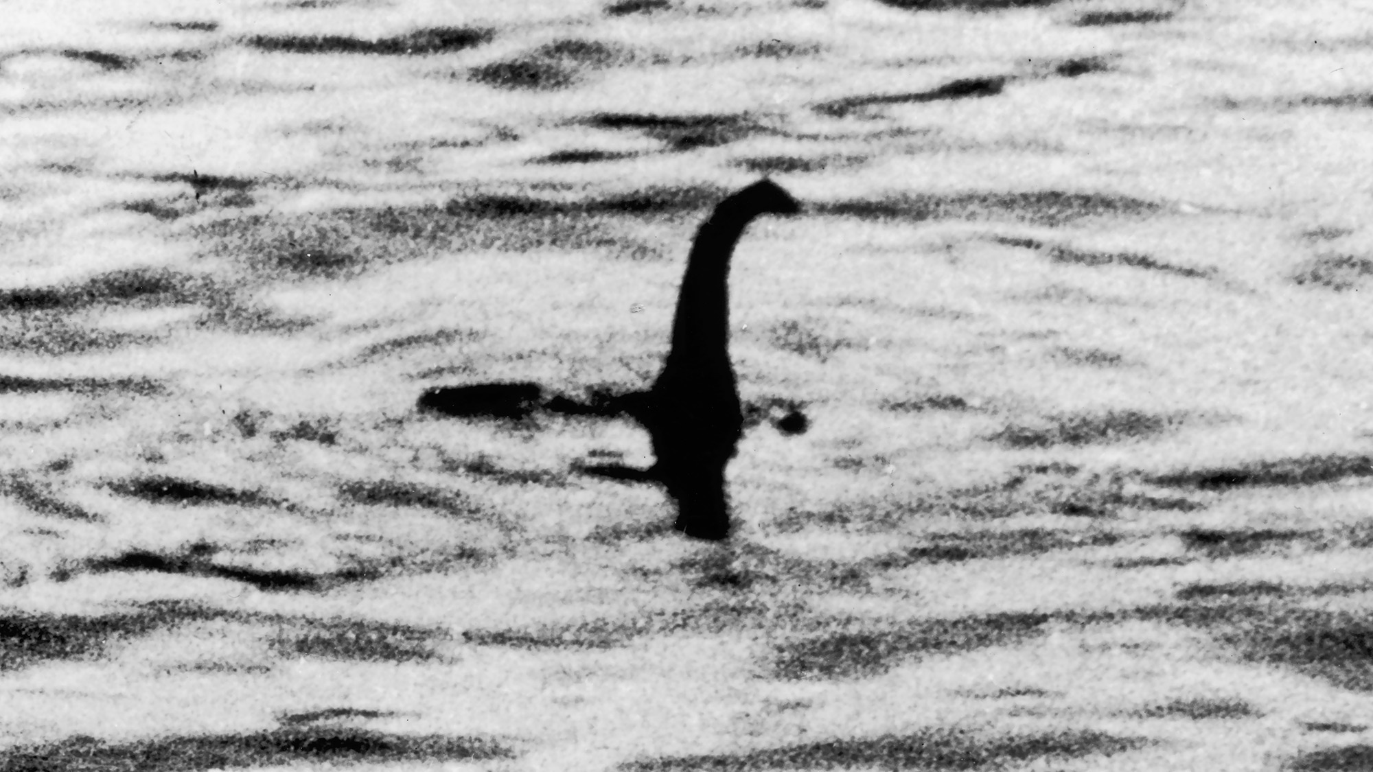 Mysteriöse Sichtung des Monsters von Loch Ness, 2000x1130 HD Desktop