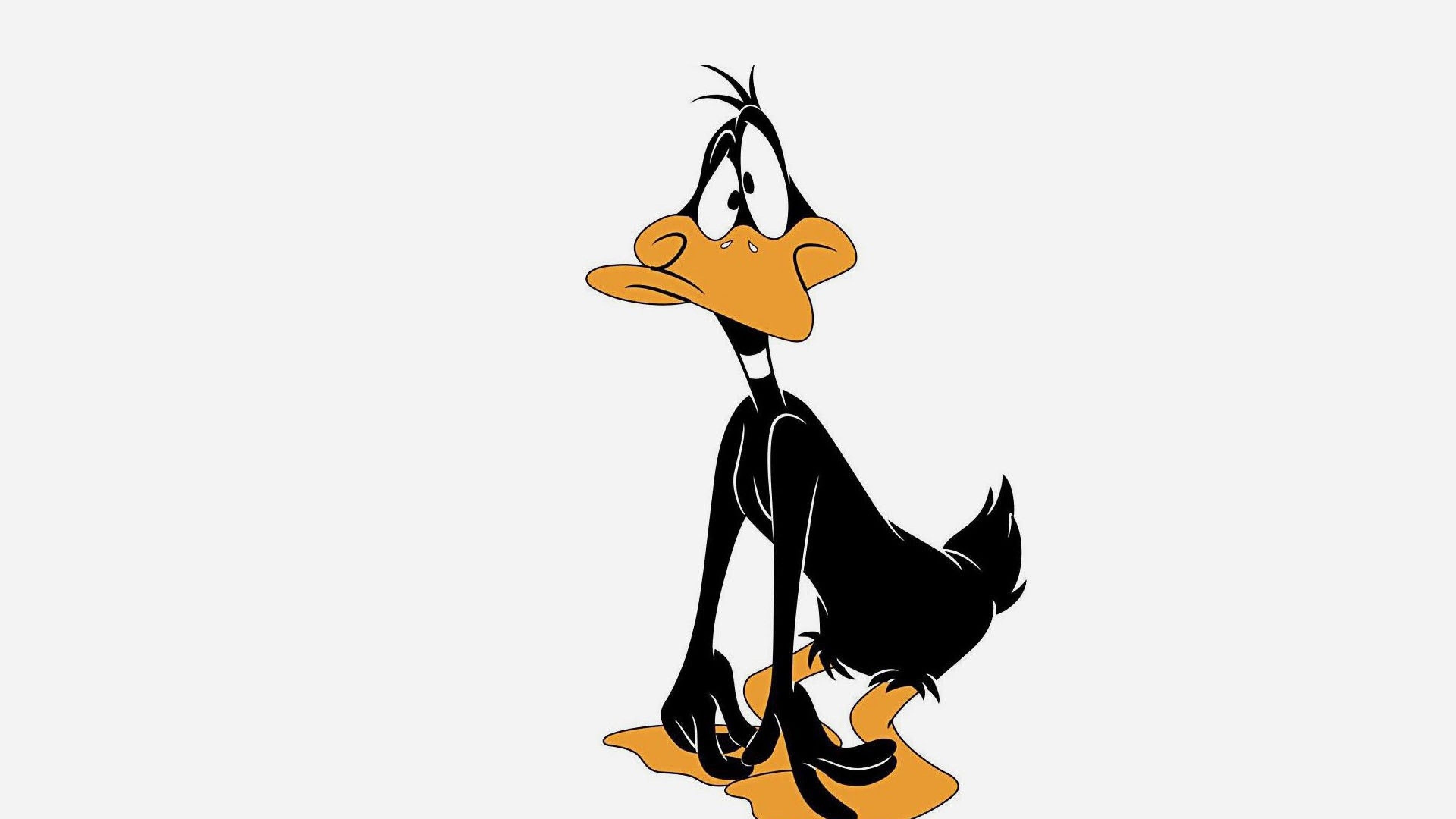 Daffy Duck wallpapers, Looney Tunes, Cartoon character, 3840x2160 4K Desktop
