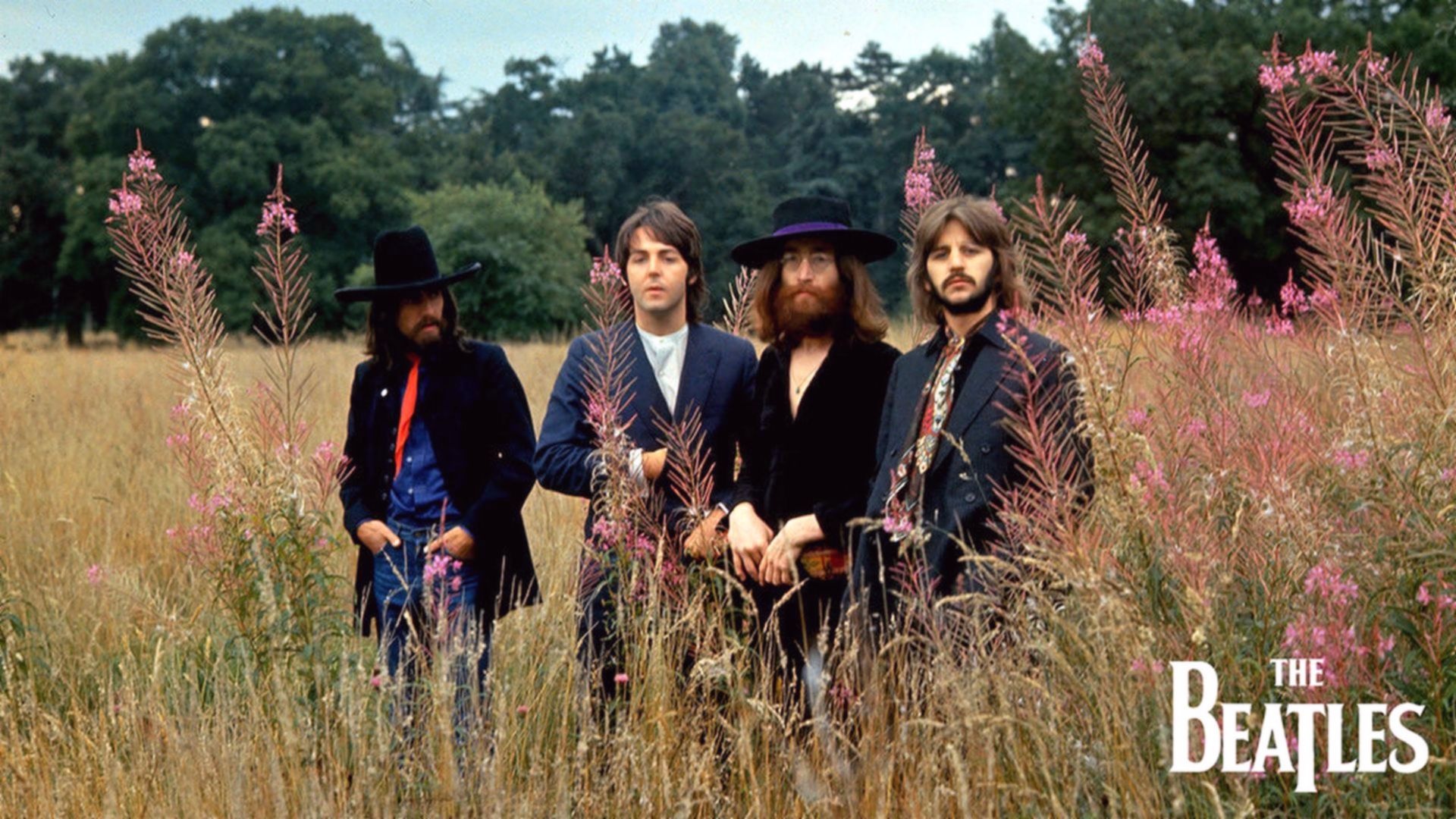 Beard, Paul McCartney, Ringo Starr, John Lennon, 1920x1080 Full HD Desktop