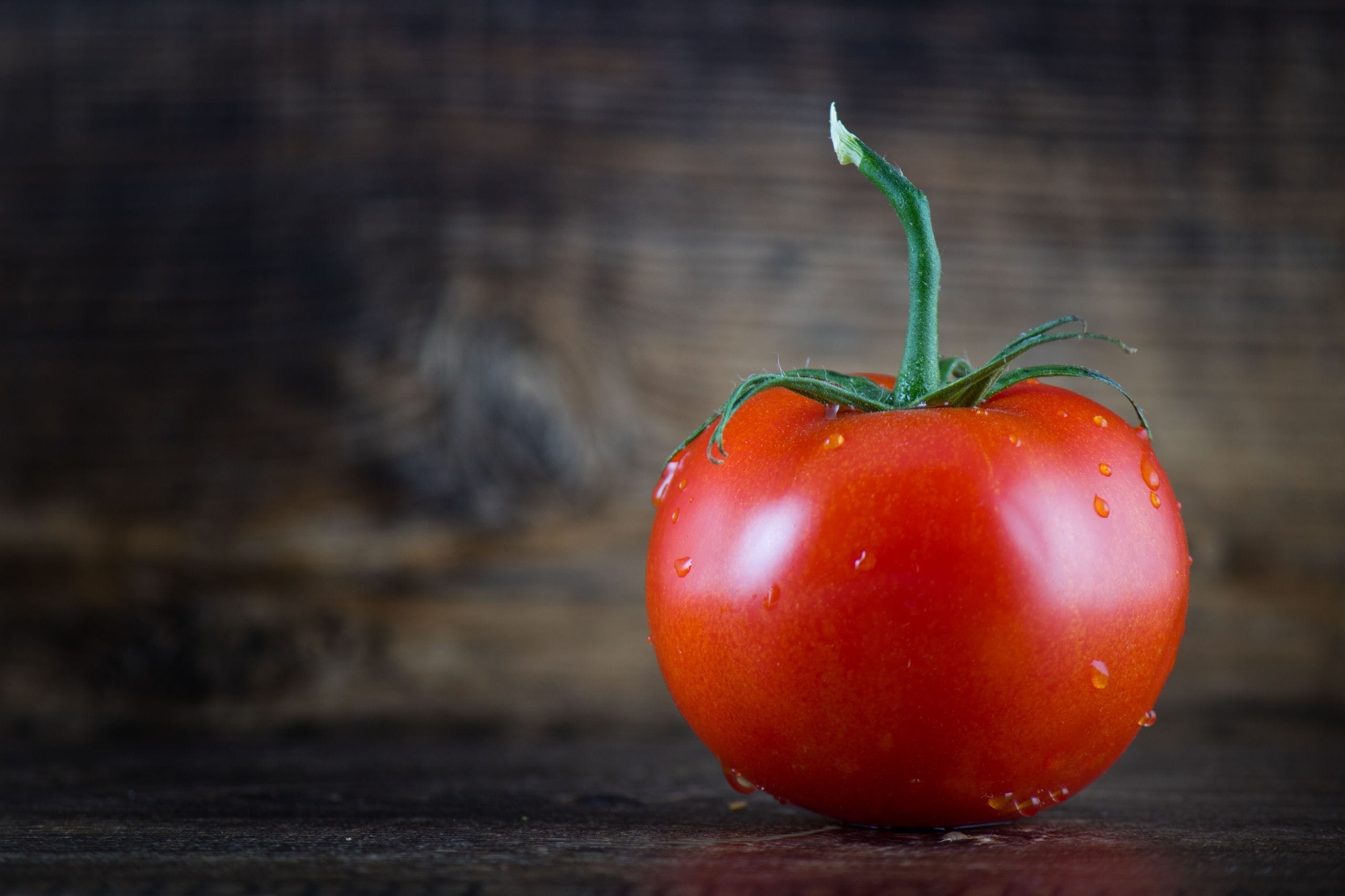 Tomato wallpapers, Free backgrounds, HD images, Visual inspiration, 2560x1710 HD Desktop