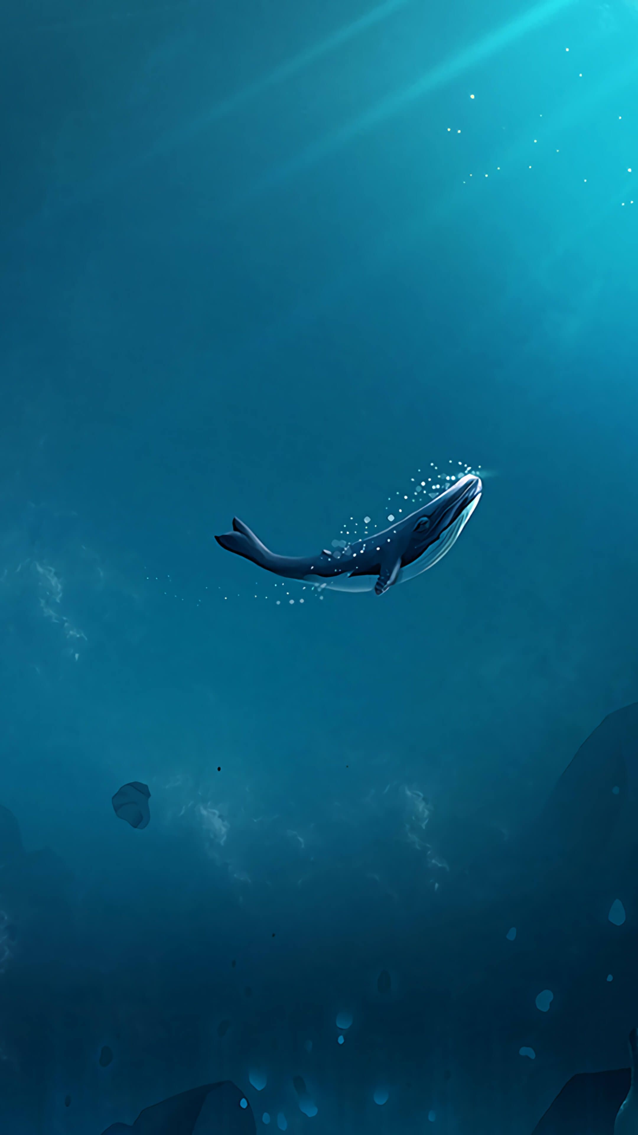 Whale wallpaper delight, Majestic sea mammal, Underwater charm, Nature's gentle giant, 2160x3840 4K Phone