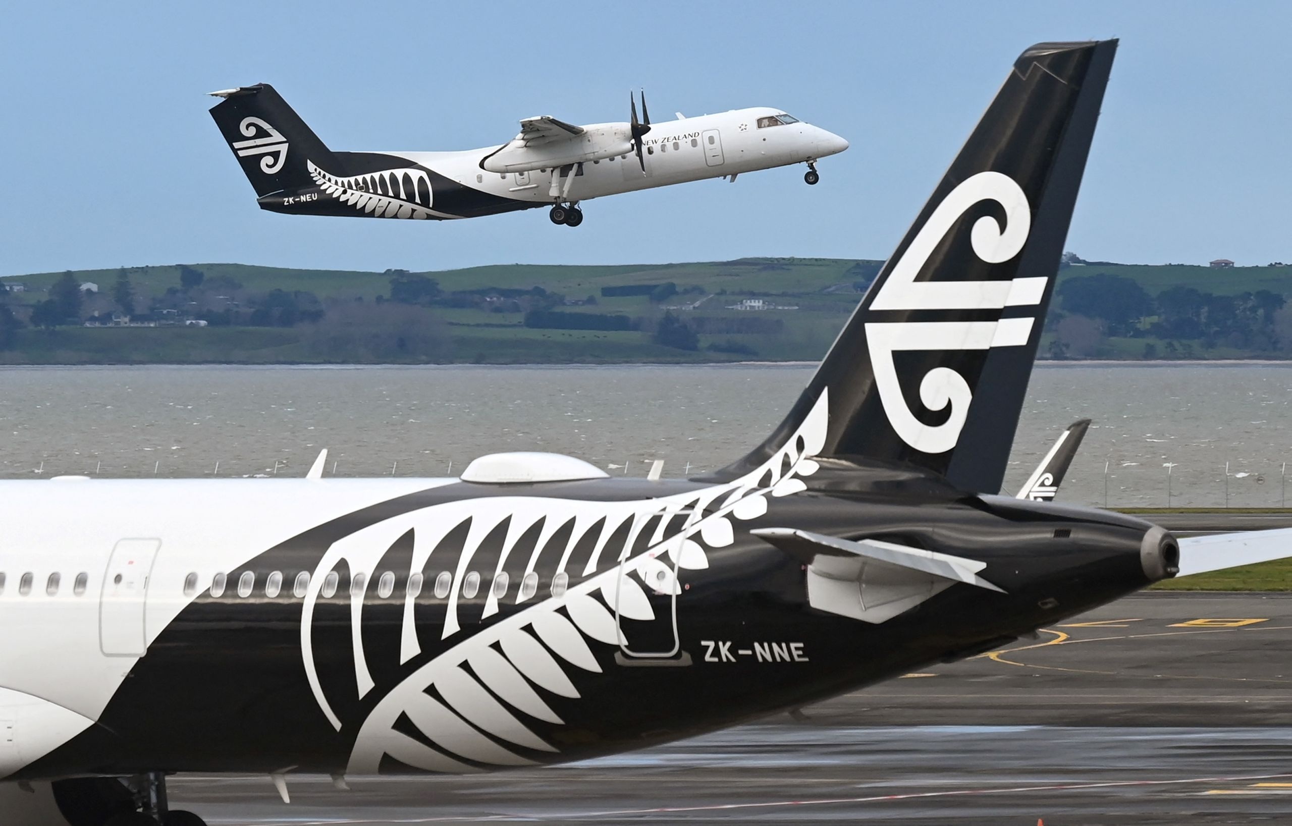 Air New Zealand Queensland routes, Suspension updates, 2560x1640 HD Desktop