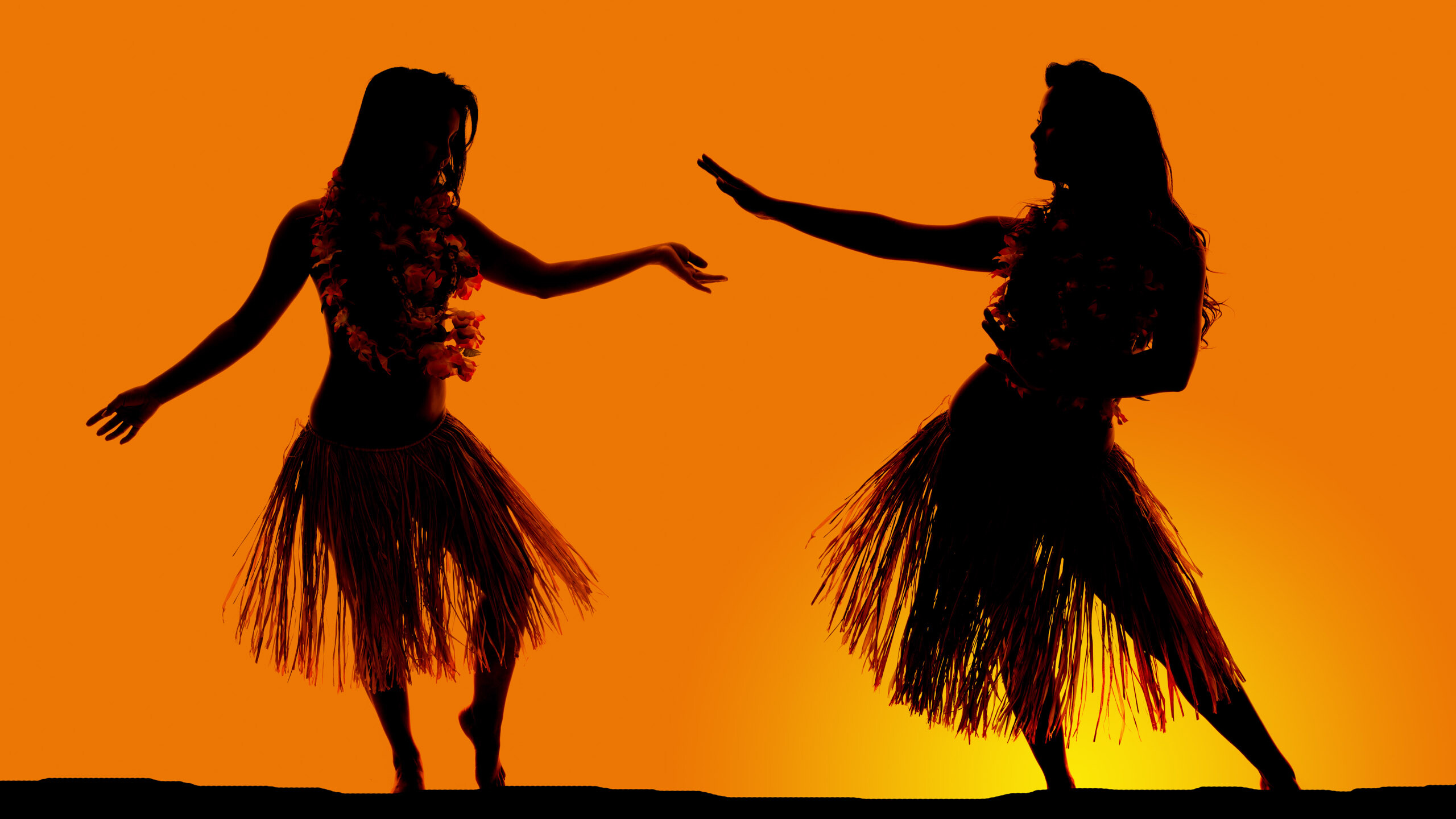 Luau Lesson, Cultural experience, Traditional dance, Authentic celebration, 2560x1440 HD Desktop