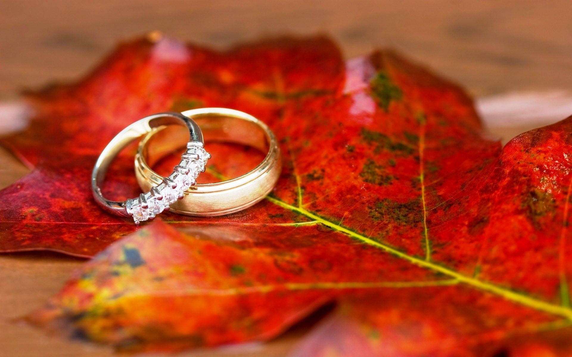 Ring, Symbol of love, Forever commitment, Fine jewelry, 1920x1200 HD Desktop