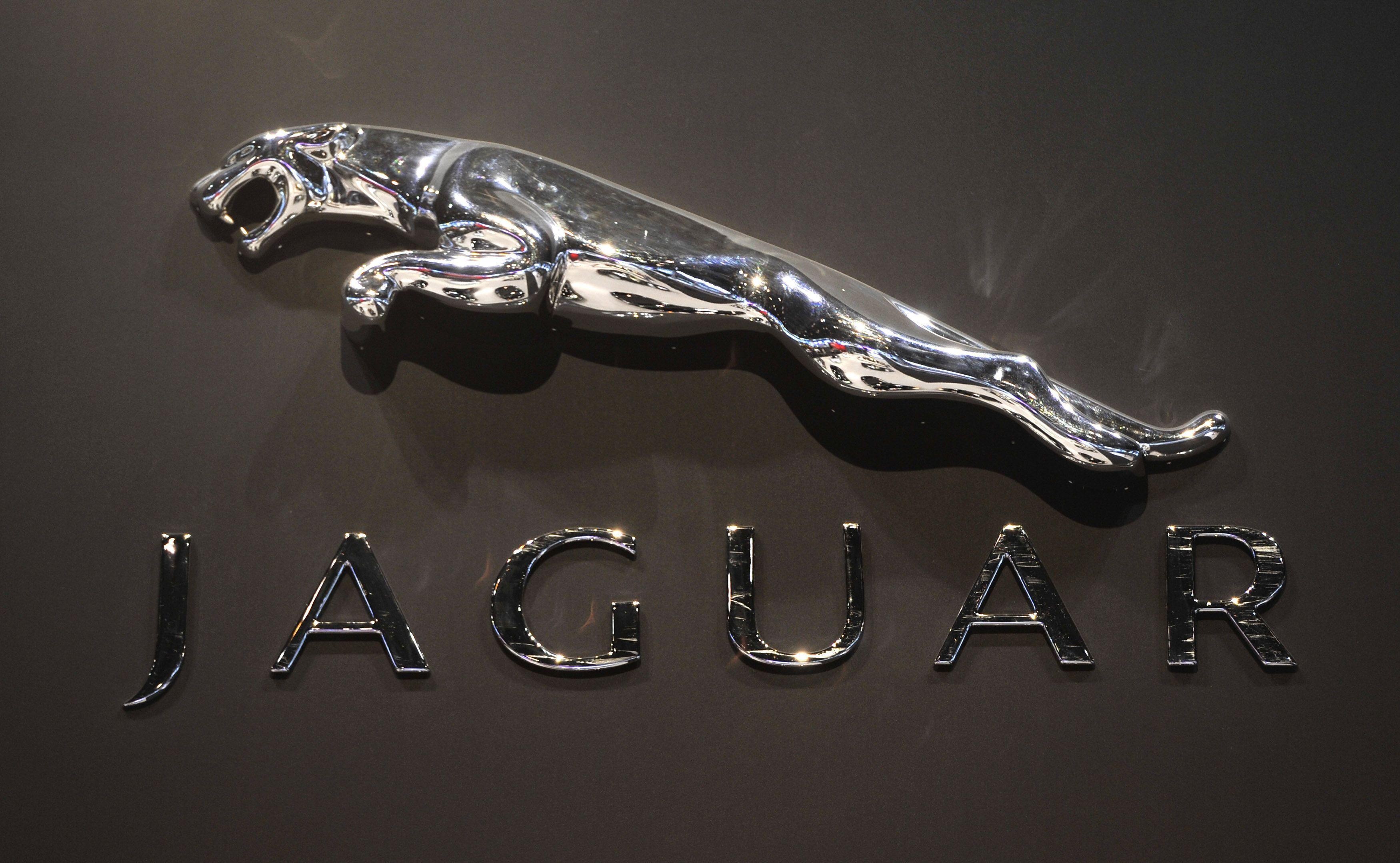 Jaguar Logo, Wallpapers, 3500x2160 HD Desktop