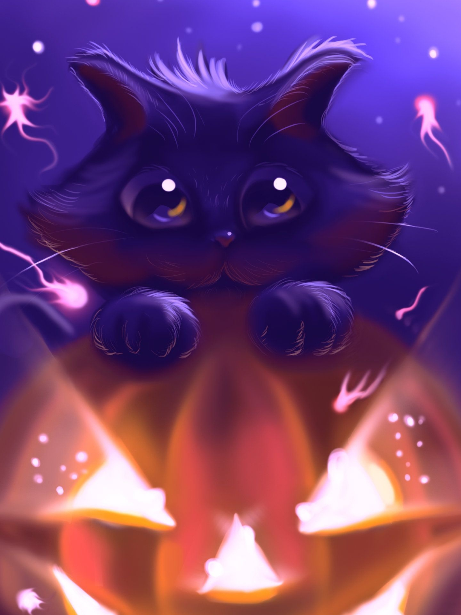 Halloween cat, Cute wallpapers, Festive atmosphere, Pin page, 1600x2140 HD Phone