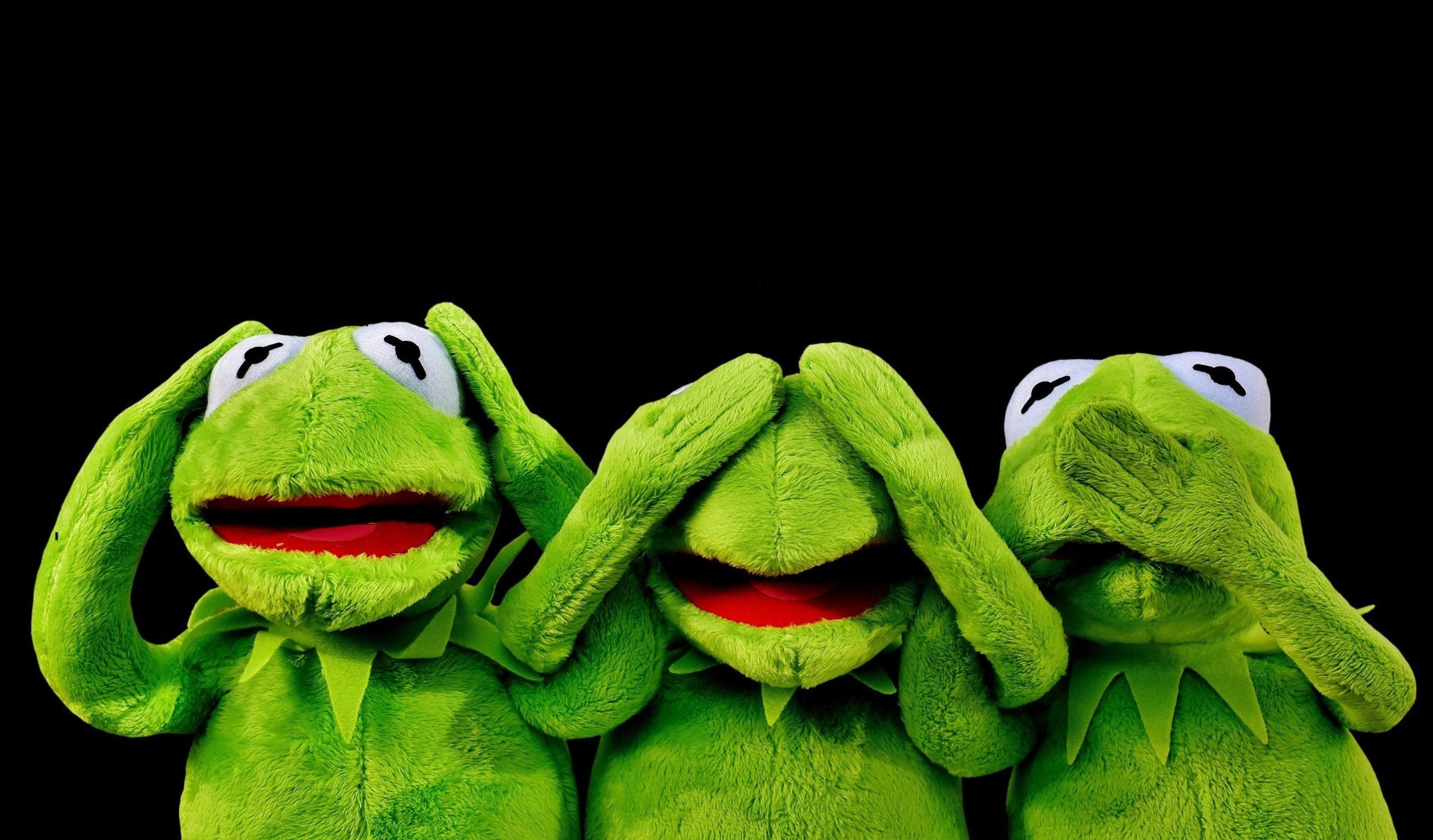 Kermit the Frog, Iconic Muppet, Beloved Character, Green Amphibian, 2560x1510 HD Desktop