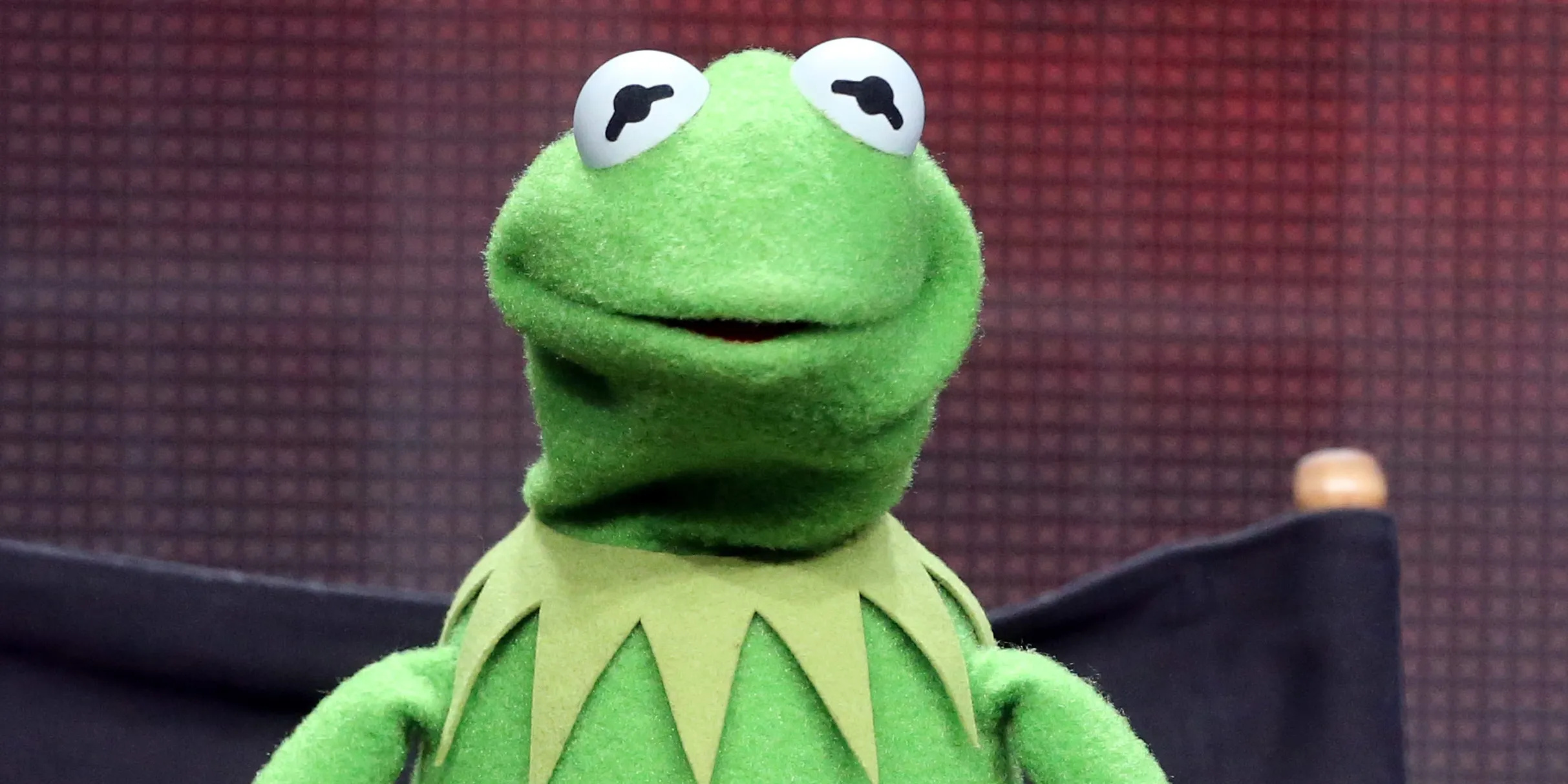 Kermit the Frog, New girlfriend, Frog's new relationship, 2430x1220 HD Desktop
