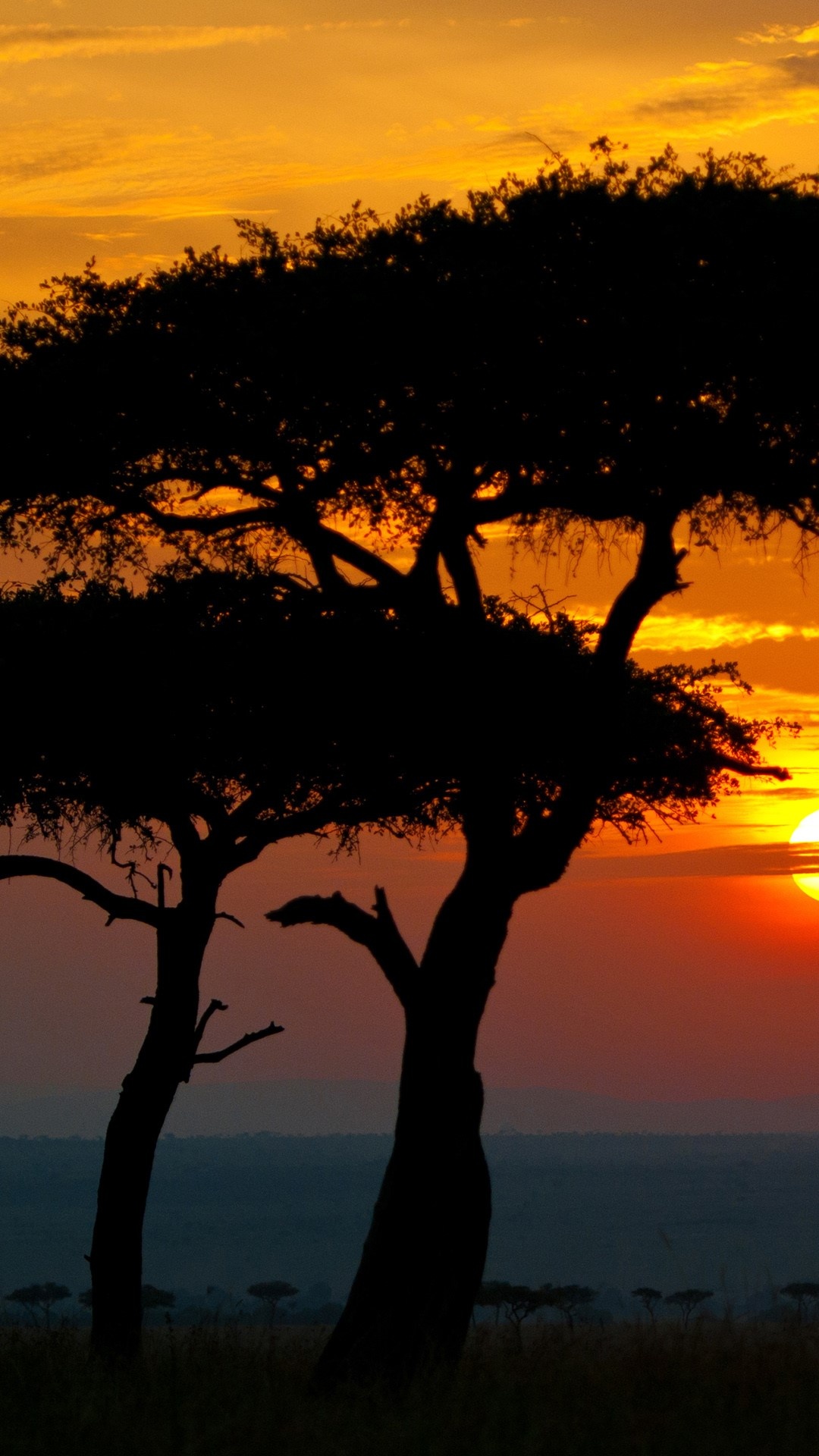 Sunset in Africa, Maasai Mara Reserve, Narok County, Kenya, 1080x1920 Full HD Handy
