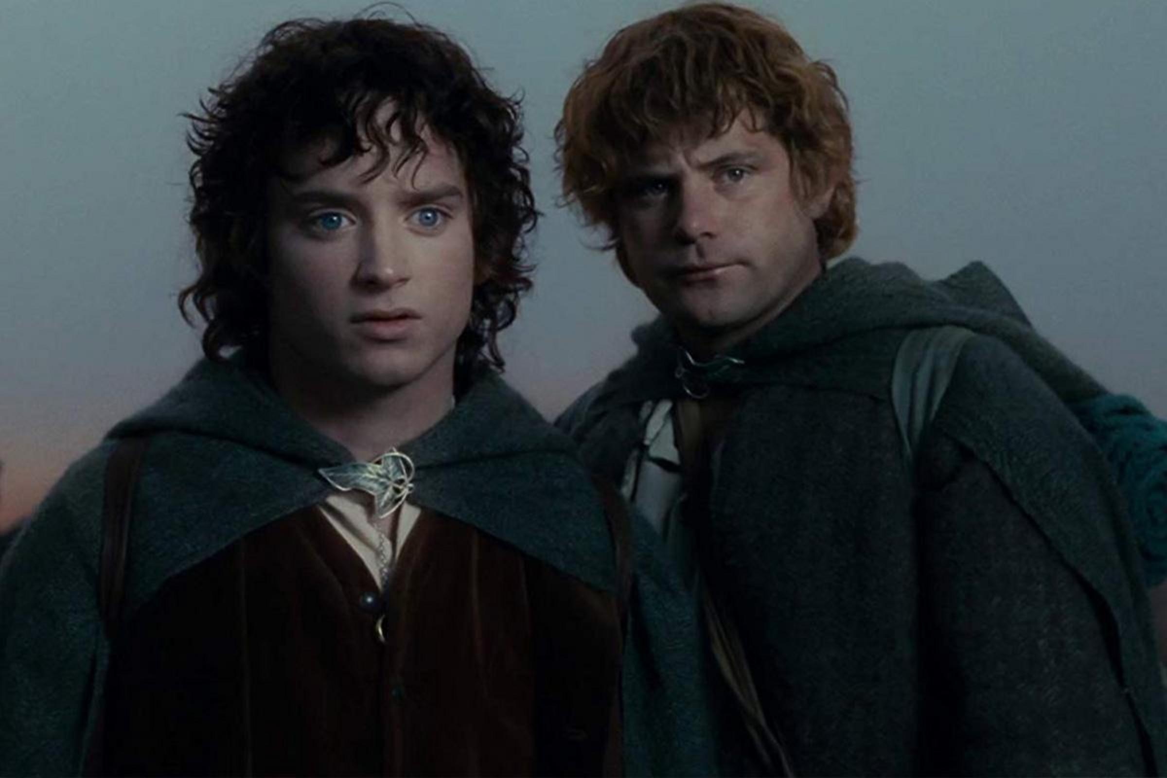 Sam, True hero of the Rings, Underrated character, Frodo's protector, 2400x1600 HD Desktop