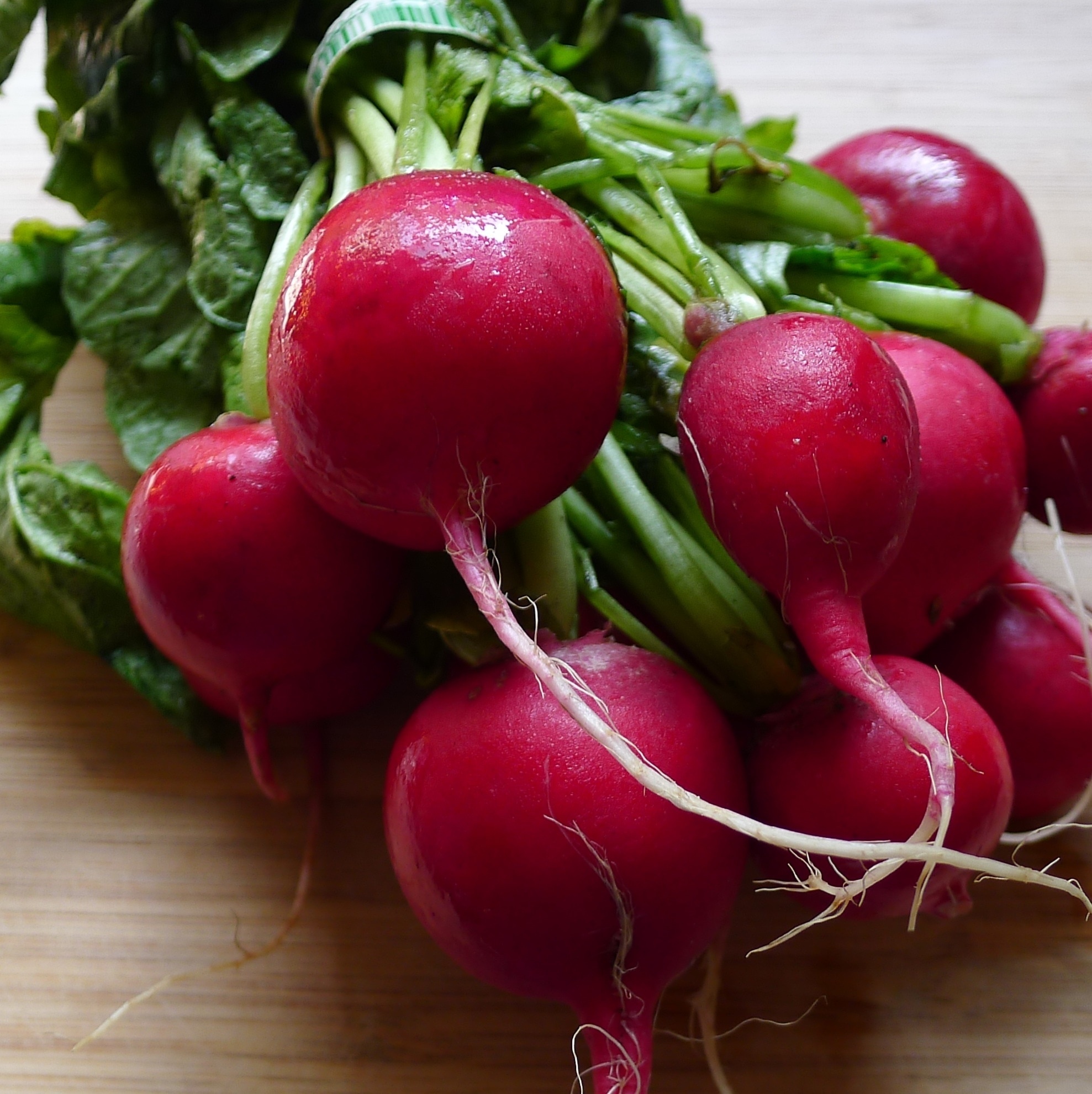 Radish, Paint vegetable, Red and white background, Free image, 1980x1990 HD Phone