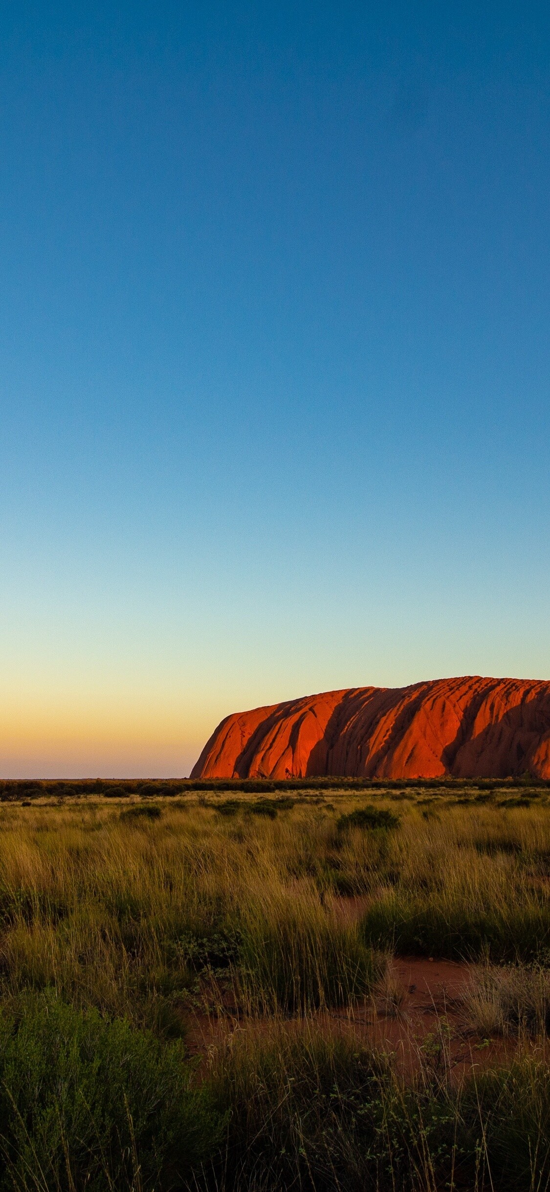 Australia: Uluru, Ayers Rock, A massive sandstone monolith. 1130x2440 HD Background.