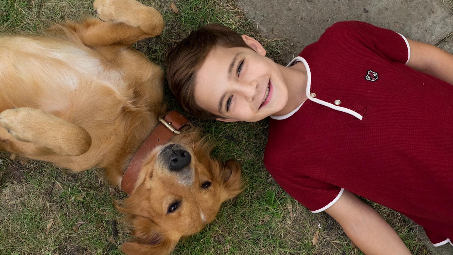 A Dog's Purpose, Touching movie, Emotional connection, Life lessons, 1920x1080 Full HD Desktop