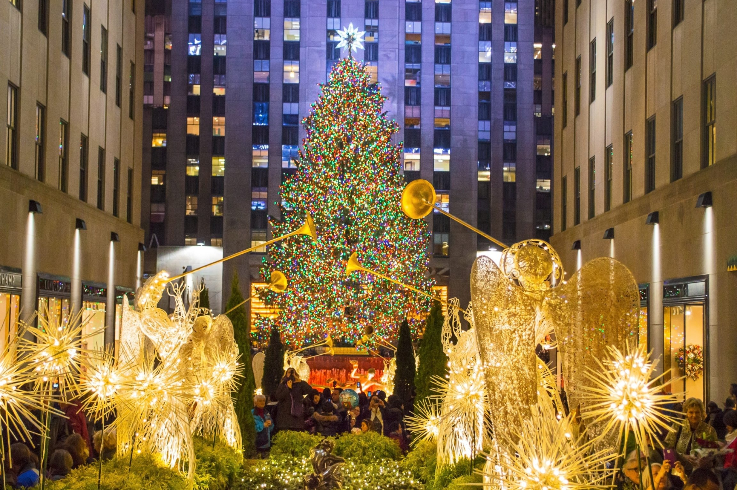 New York Christmas: Holiday tree lighting, Holiday season, NYC. 2560x1710 HD Wallpaper.