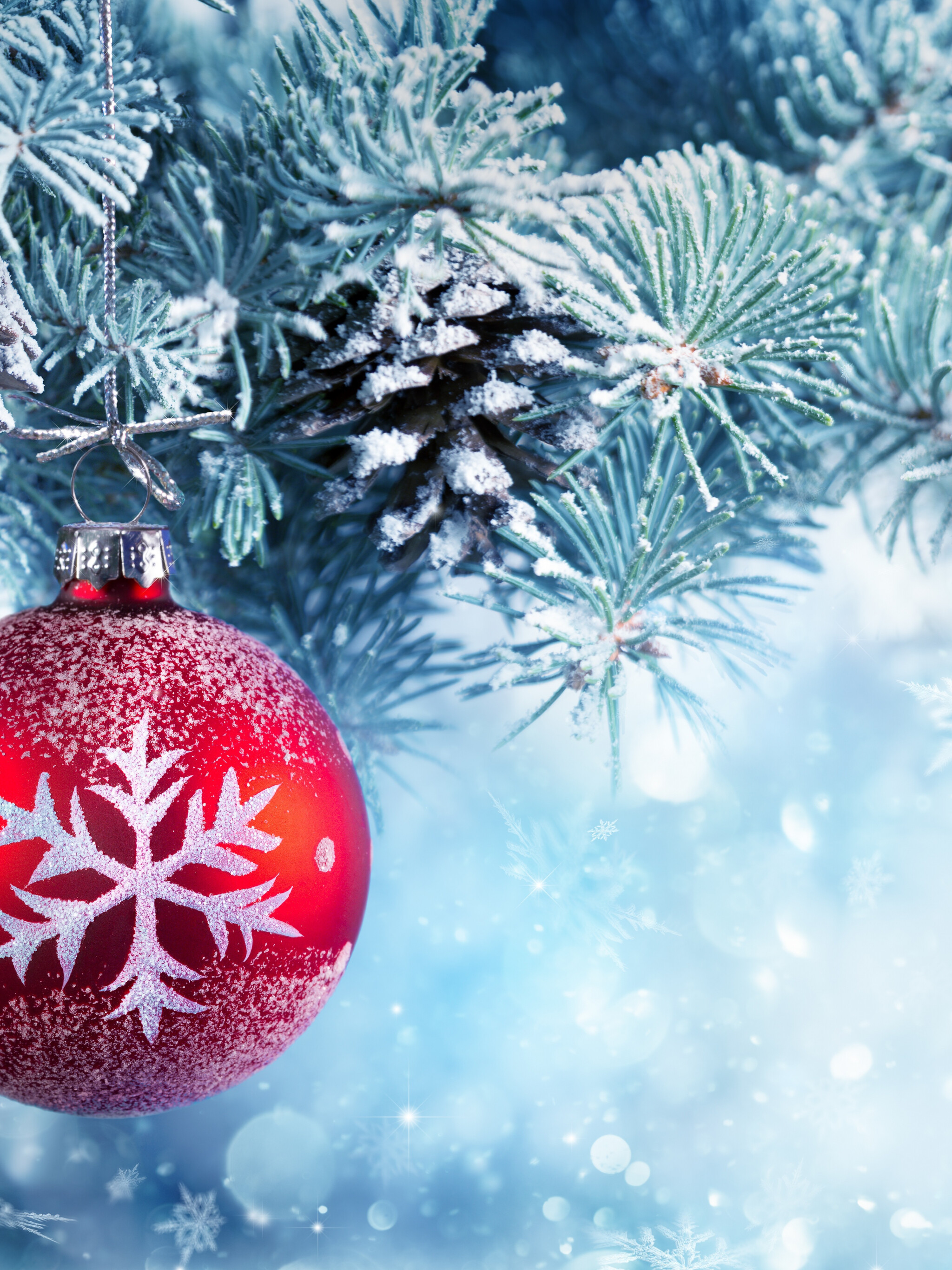 Christmas Ornament: Snow, Frost, Xmas ball, Pine trees. 2050x2740 HD Wallpaper.