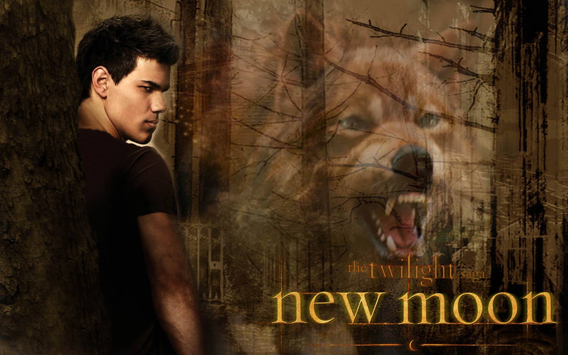 Taylor Lautner Twilight wallpaper, Actor, Heartthrob, Teen idol, 1920x1200 HD Desktop