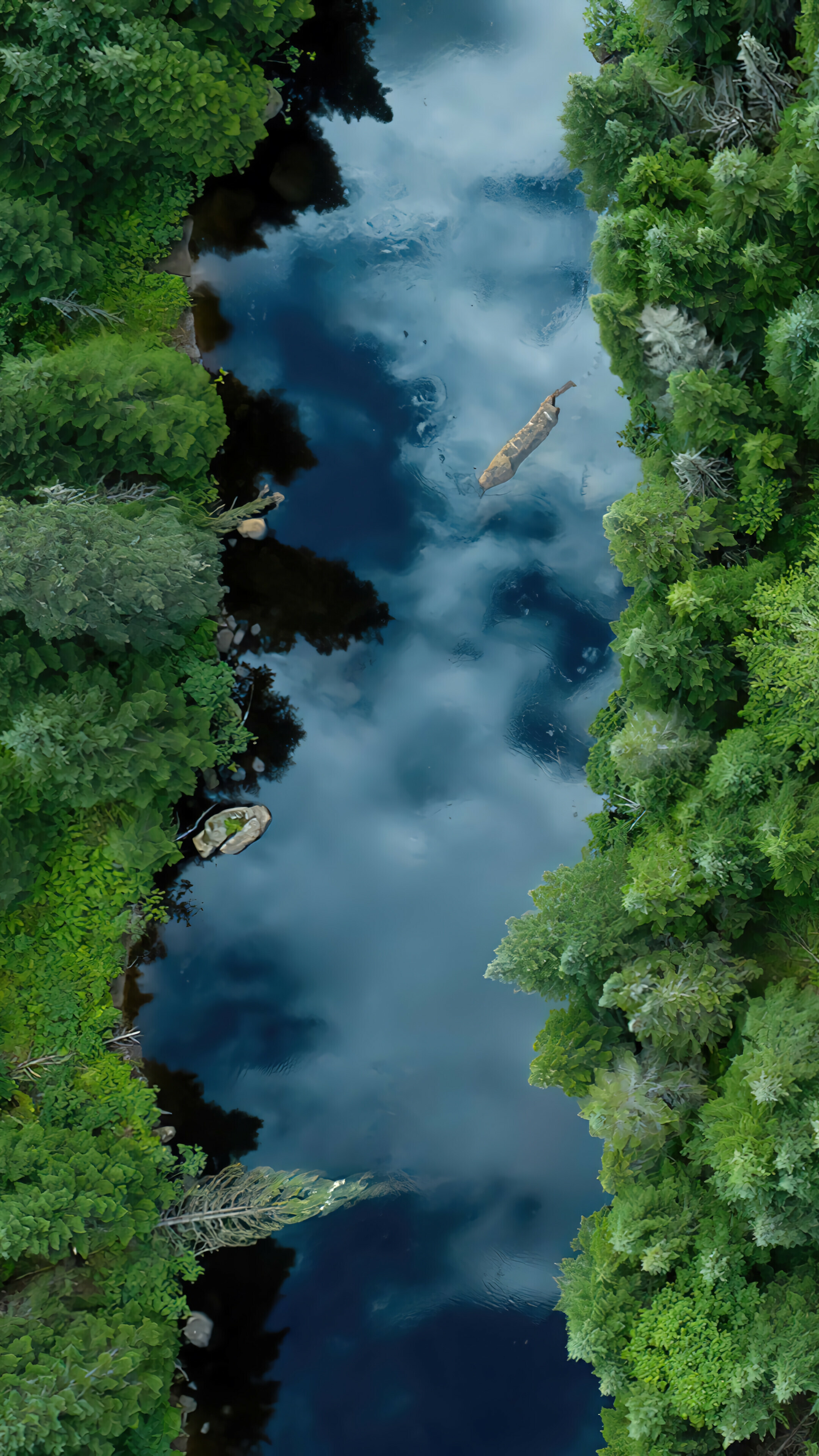 River: Forest, Nature, Freshwater, flowing towards an ocean, sea, or lake. 2160x3840 4K Background.