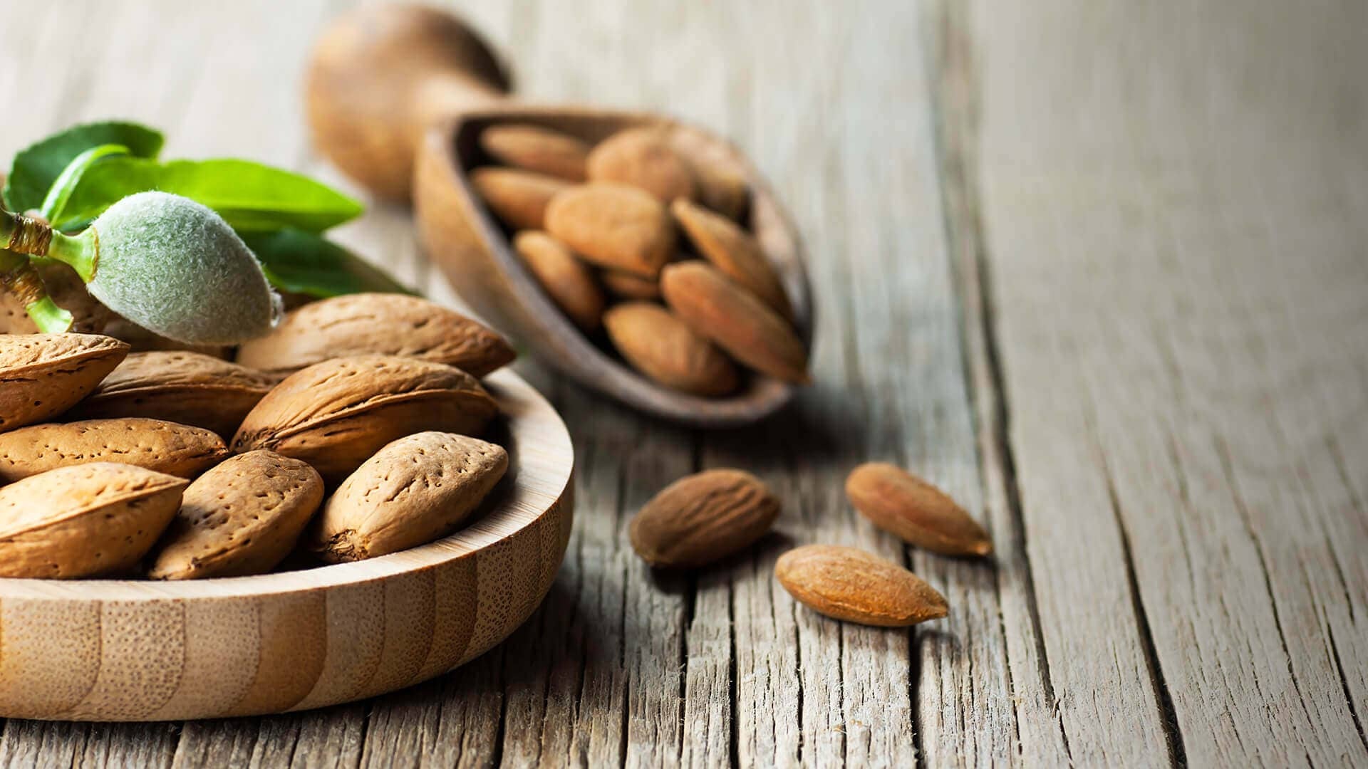 Almonds: A nut, Filled with fats, antioxidants, Prunus amygdalus. 1920x1080 Full HD Wallpaper.