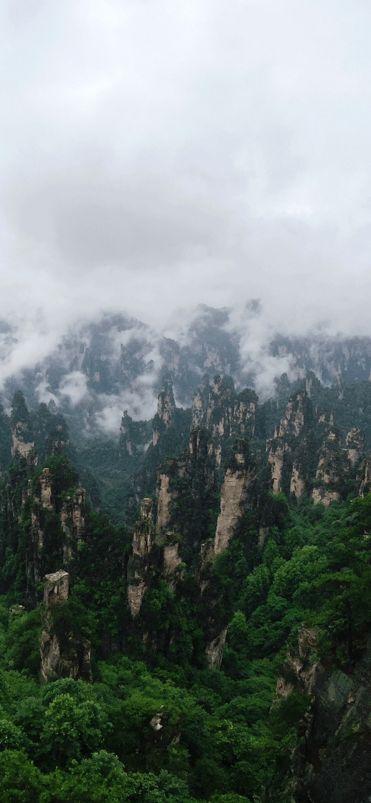 Zhangjiajie National Park, Enchanting scenery, Natural wonders, Ethereal beauty, 1250x2690 HD Handy