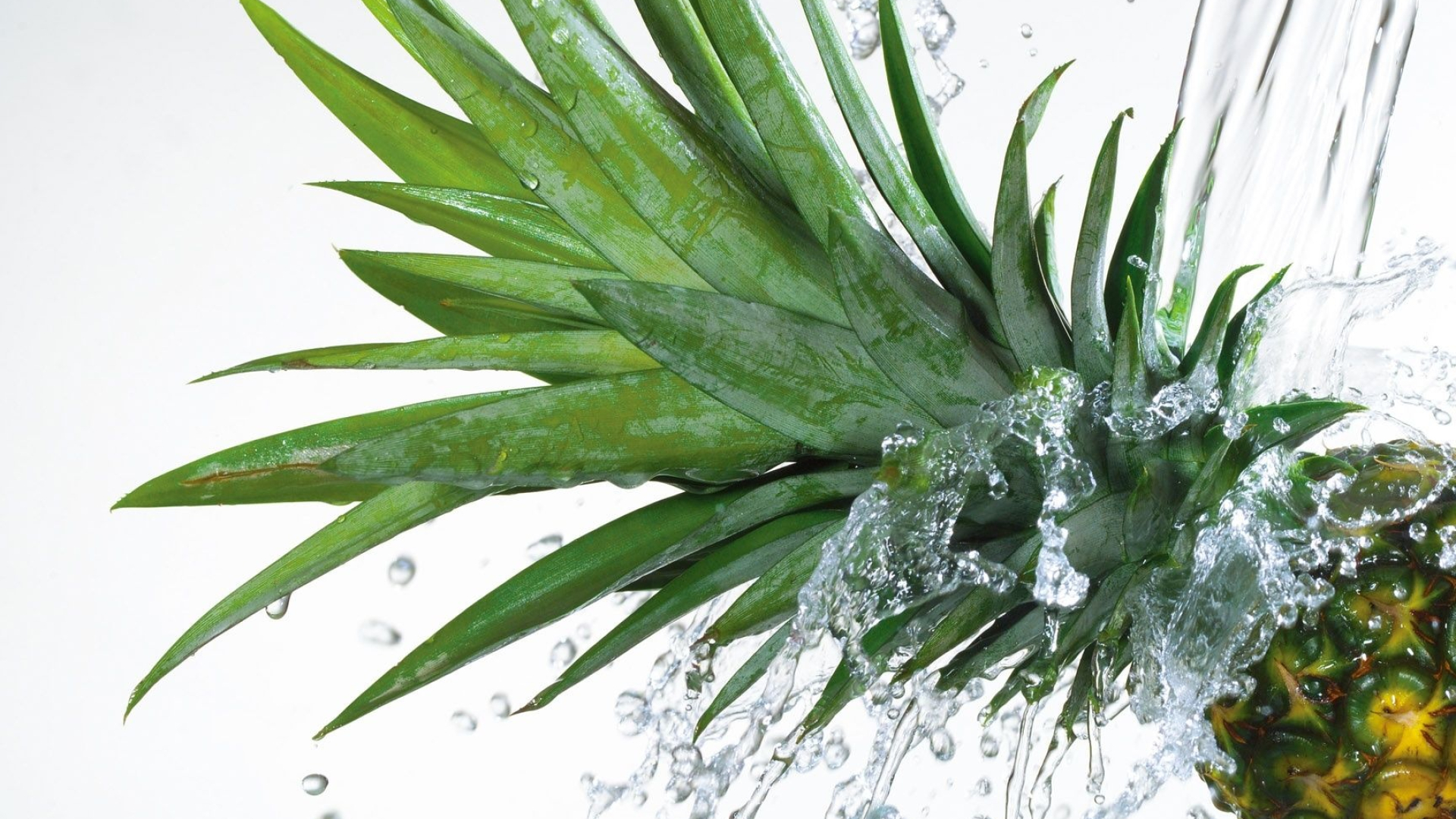Pineapple: The most economically potential plant in the family Bromeliaceae. 1920x1080 Full HD Wallpaper.