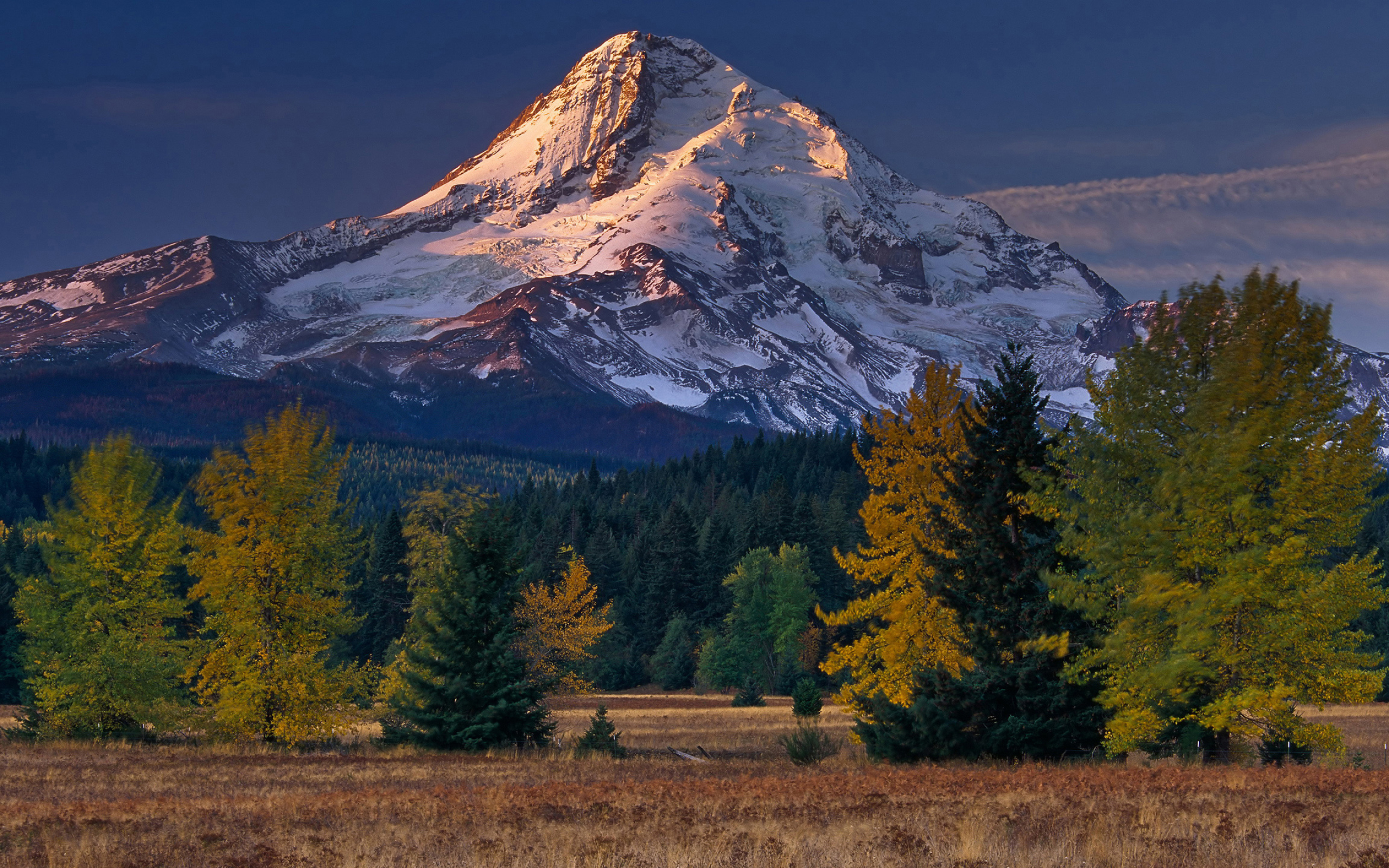 Mount Hood, Oregon, Mountain majesty, Nature's beauty, 2560x1600 HD Desktop