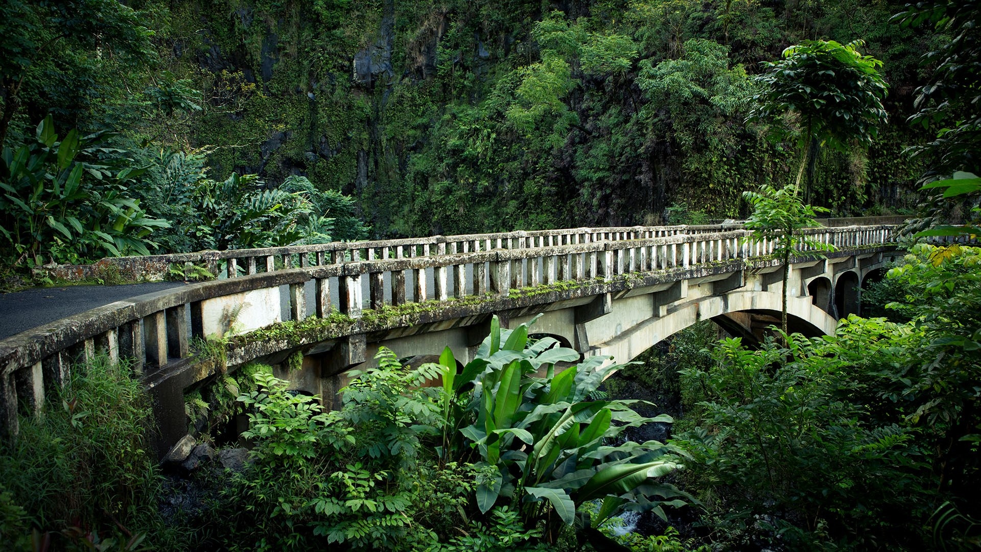 Road to Hana, Old bridge, Rainforest, Hawaii USA, 1920x1080 Full HD Desktop