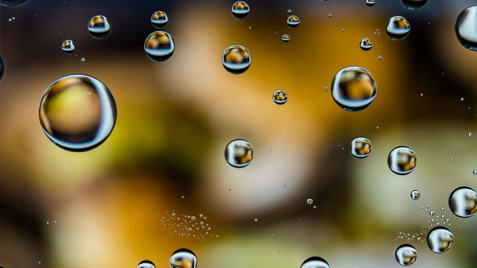 Water droplets captured, High-definition dew, Nature's magnification, HD liquid spheres, collection, 1920x1080 Full HD Desktop