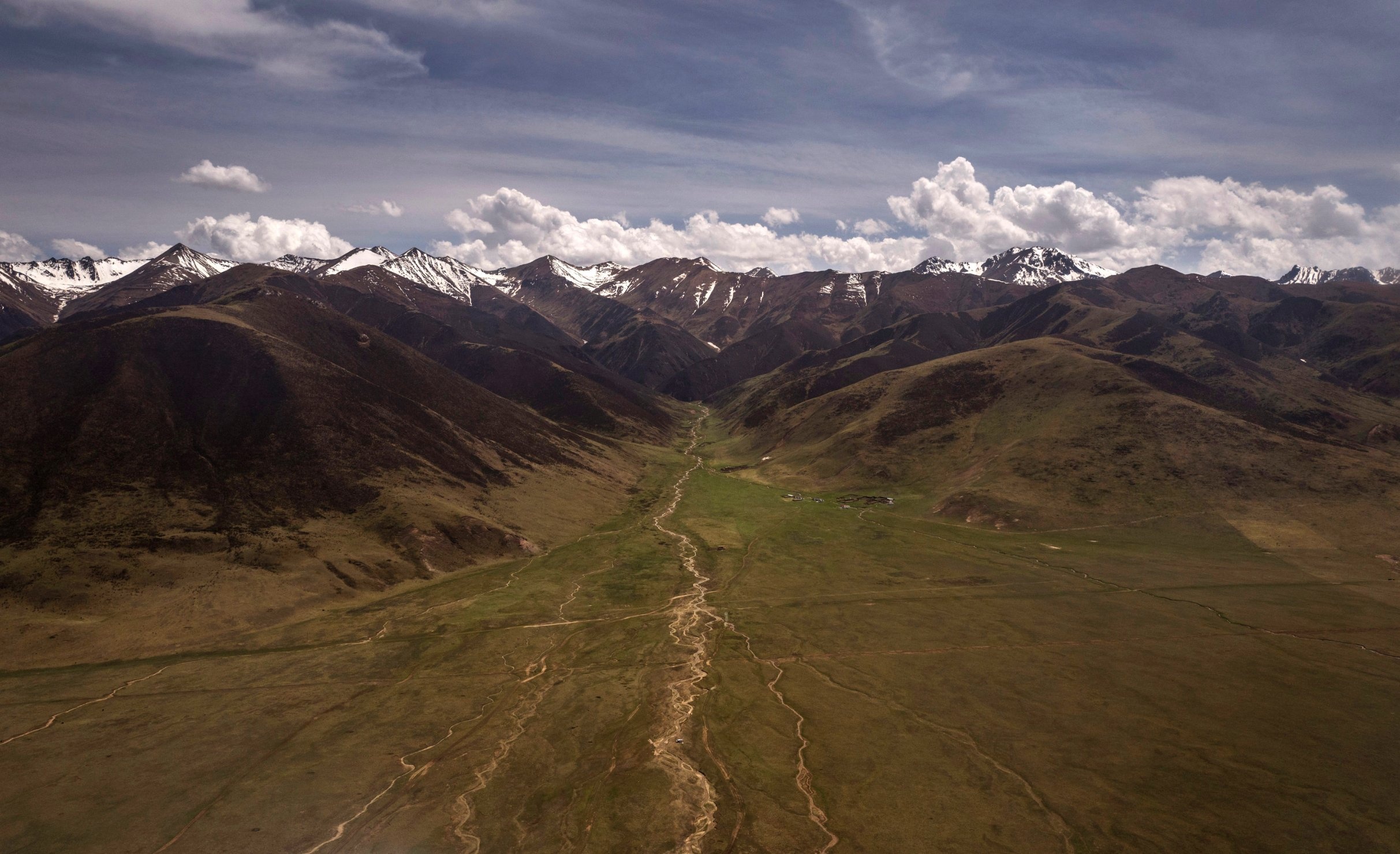 Tibetan Highlands, High-altitude search, Prized caterpillar fungus, Tibetans' journey, 2430x1480 HD Desktop