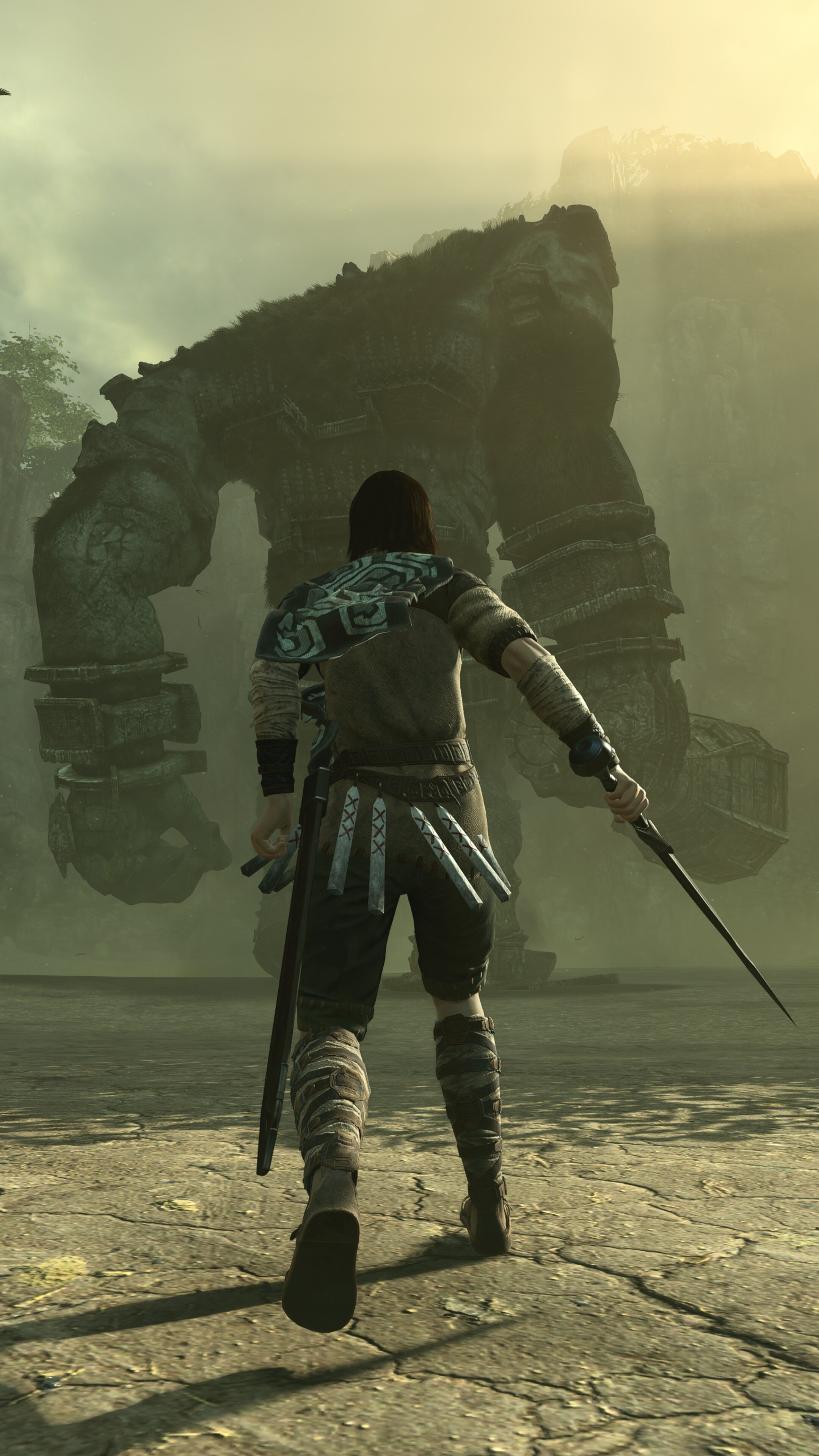 Shadow of the Colossus: The game takes place in a fantasy setting and follows Wander. 2160x3840 4K Background.