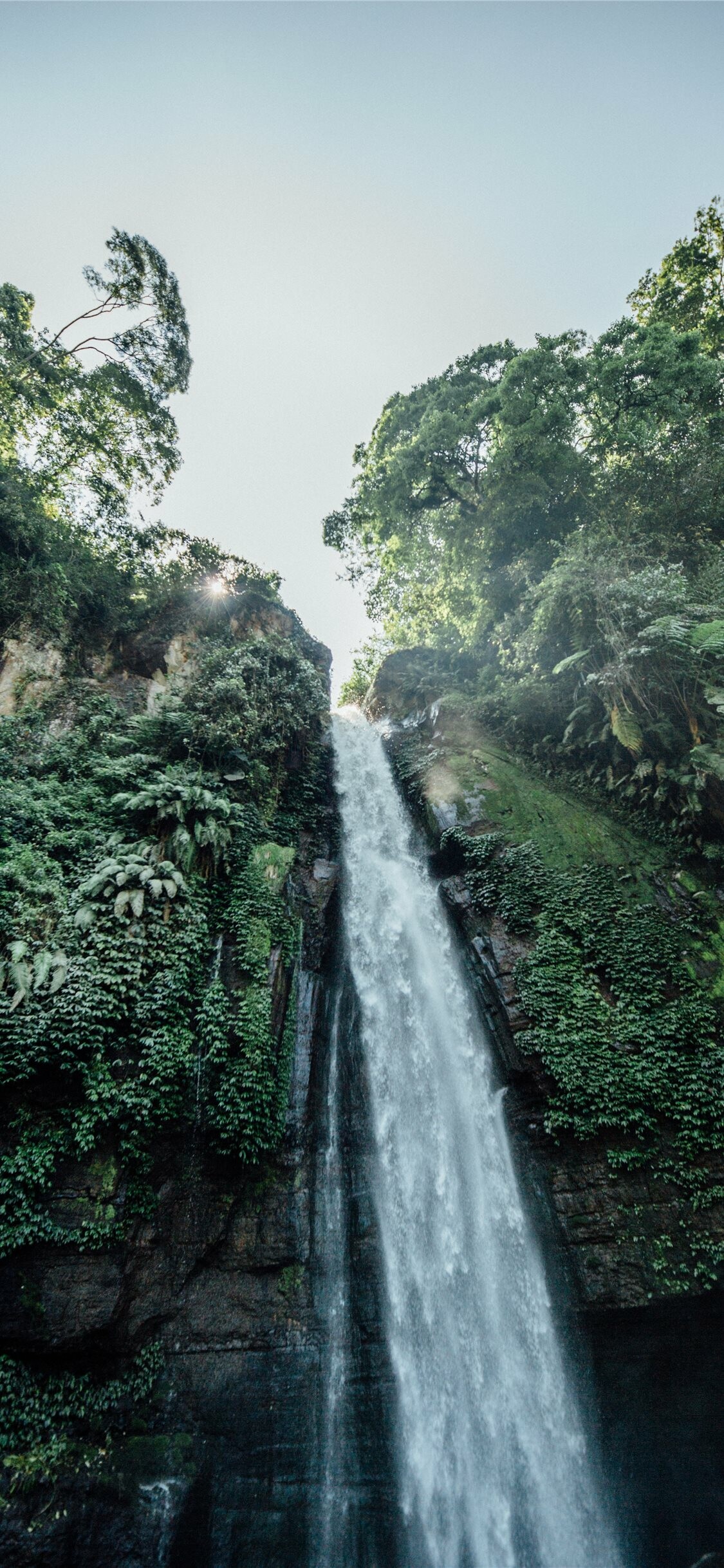 Rainforest: Jungle, Natural environment, Waterfall, Tropics. 1130x2440 HD Background.