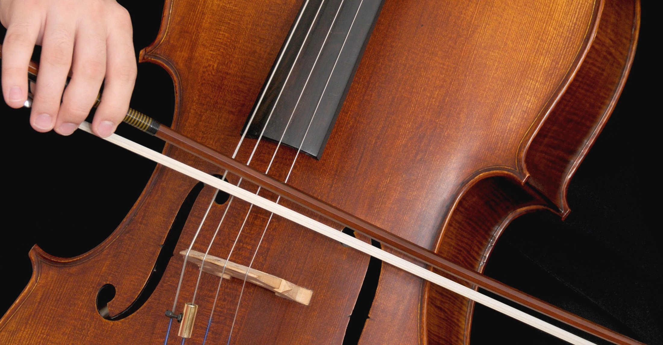Violoncello: French Bow, The Bridge, Bass Point, So-Called "Catgut" Strings. 2200x1150 HD Wallpaper.