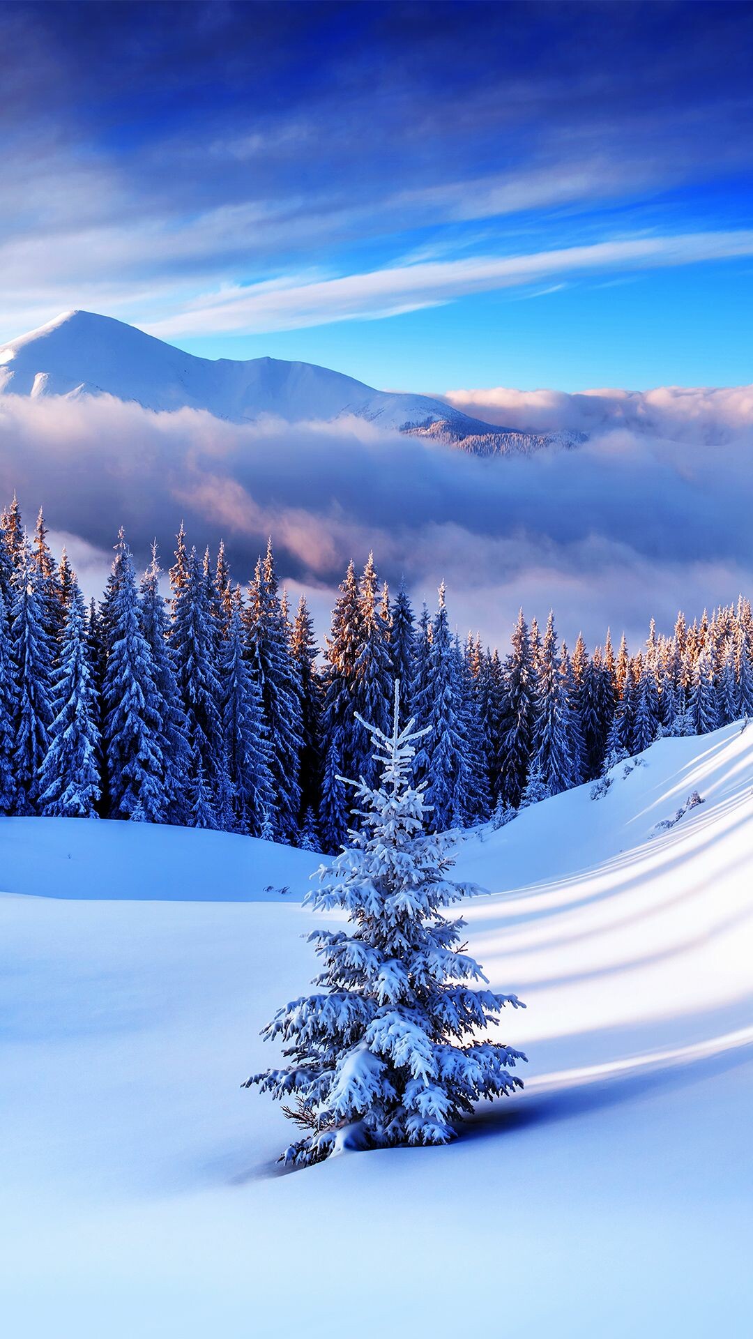 Winter: A snow cornice, Snow-capped mountain, White field. 1080x1920 Full HD Background.