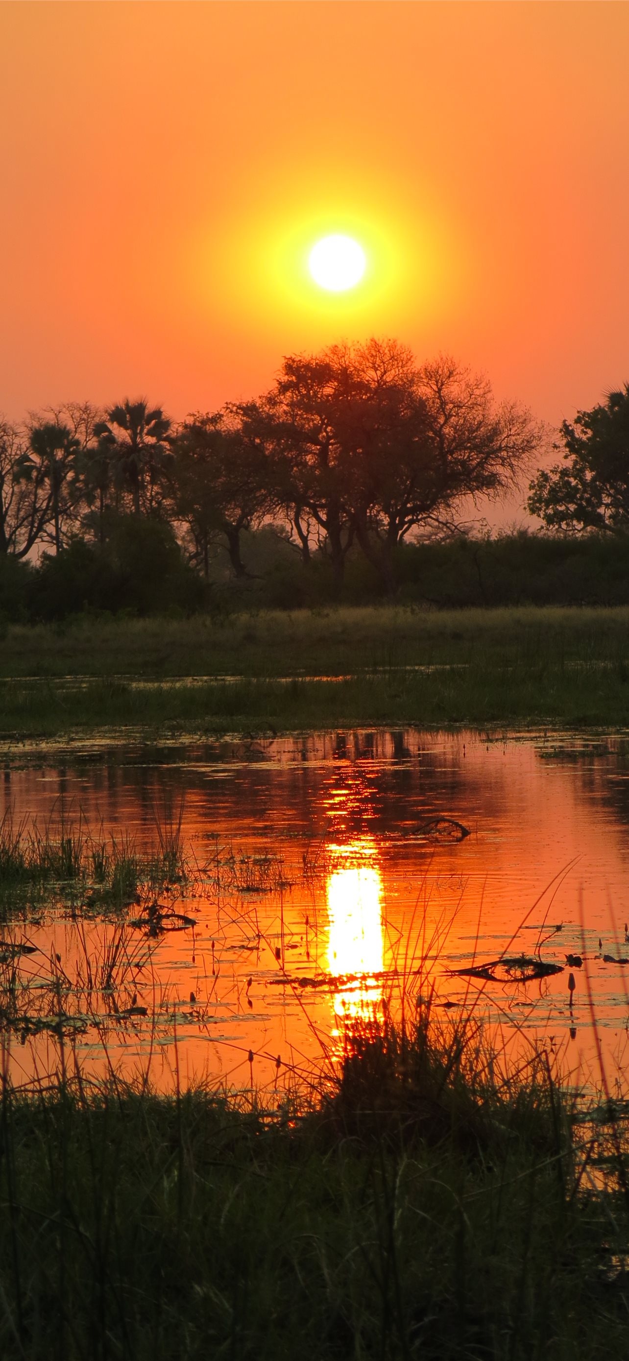 Best Botswana wallpapers, iPhone HD, Vibrant colors, Stunning landscapes, 1290x2780 HD Phone