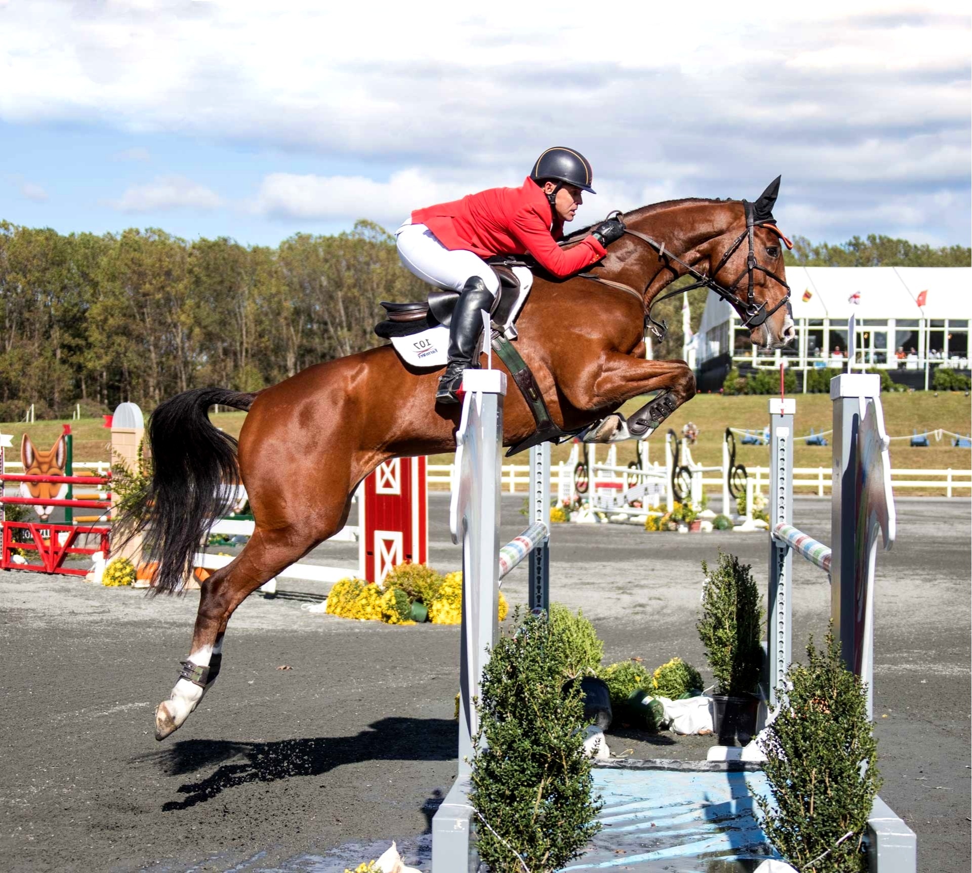 Eventing: Show jumping, A part of a group of English horse riding events that also includes dressage, hunters, and equitation. 1920x1730 HD Background.